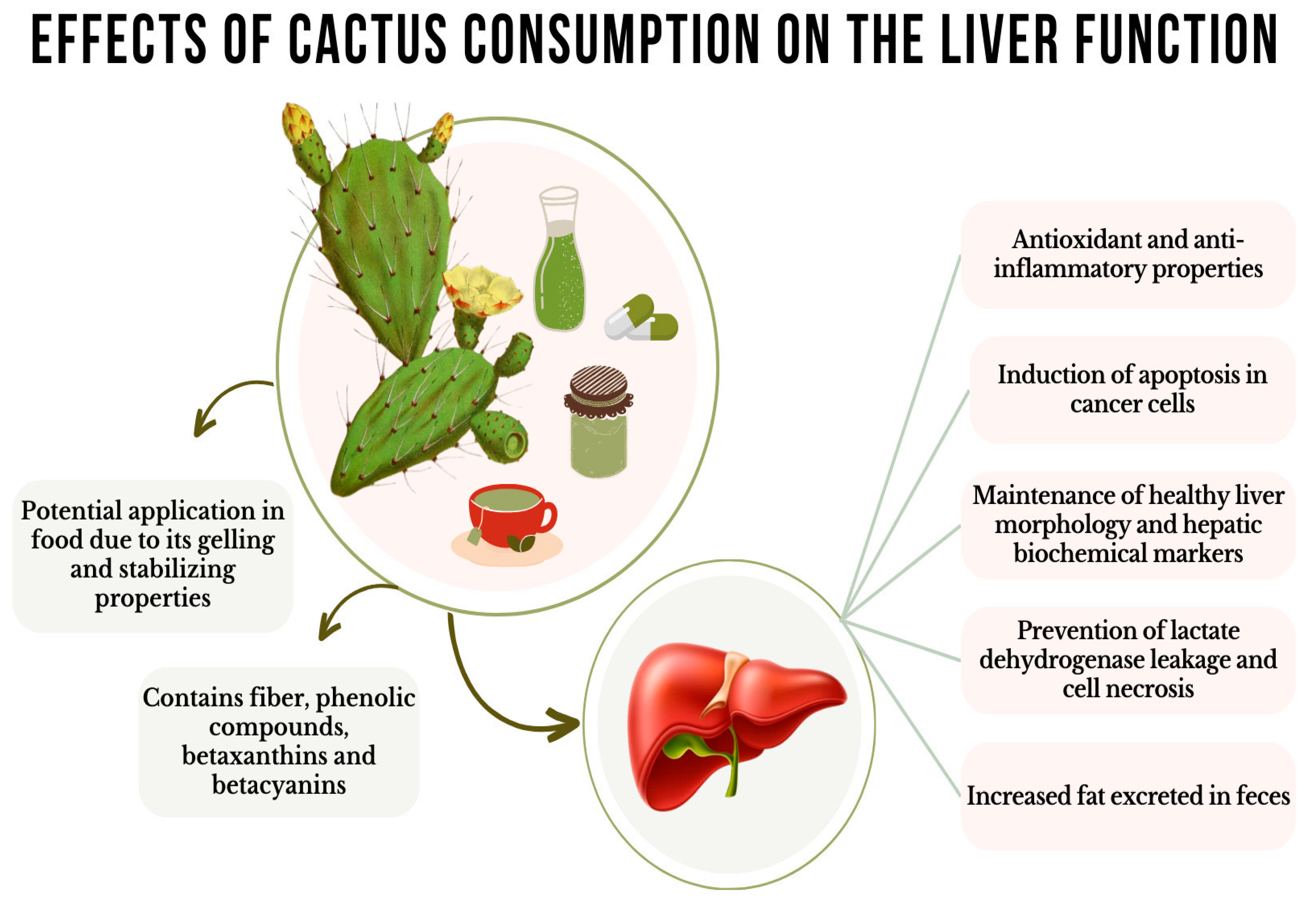 Livers 04 00021 g002