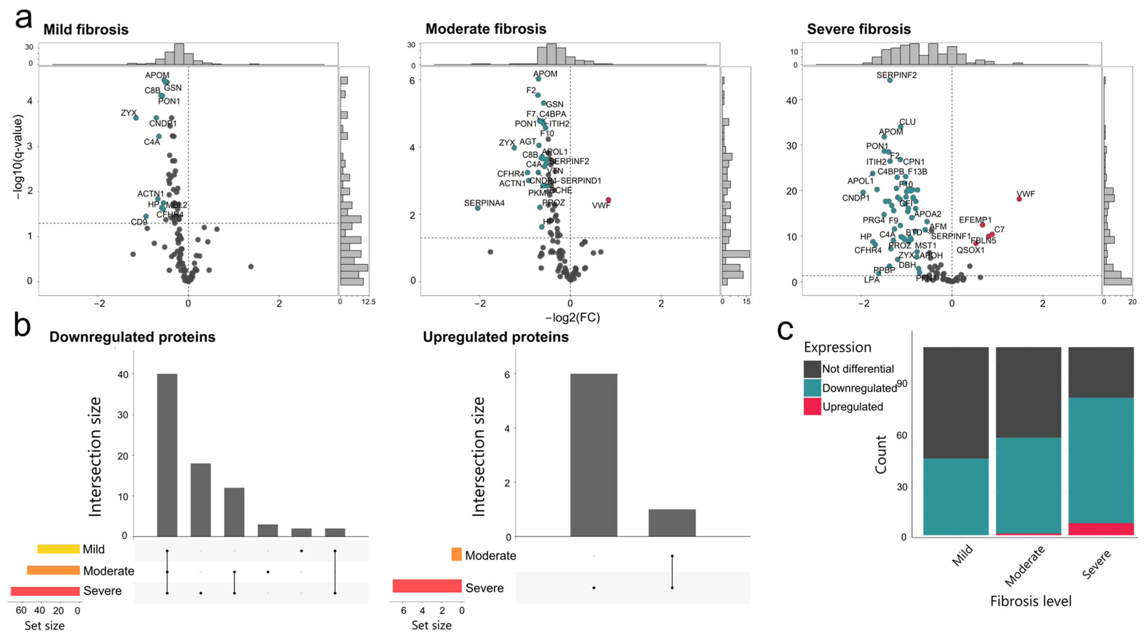 Livers 05 00002 g002