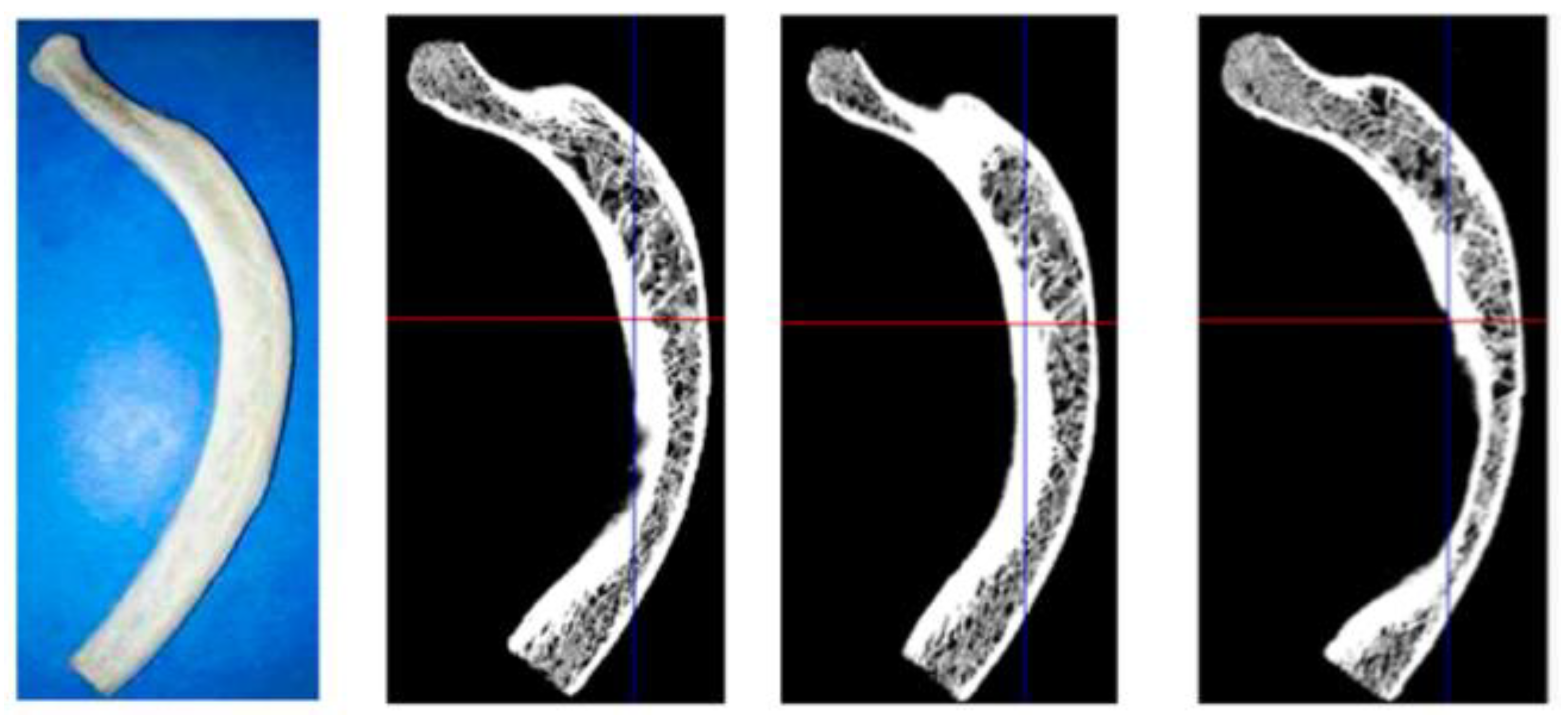 Livers 05 00003 g003