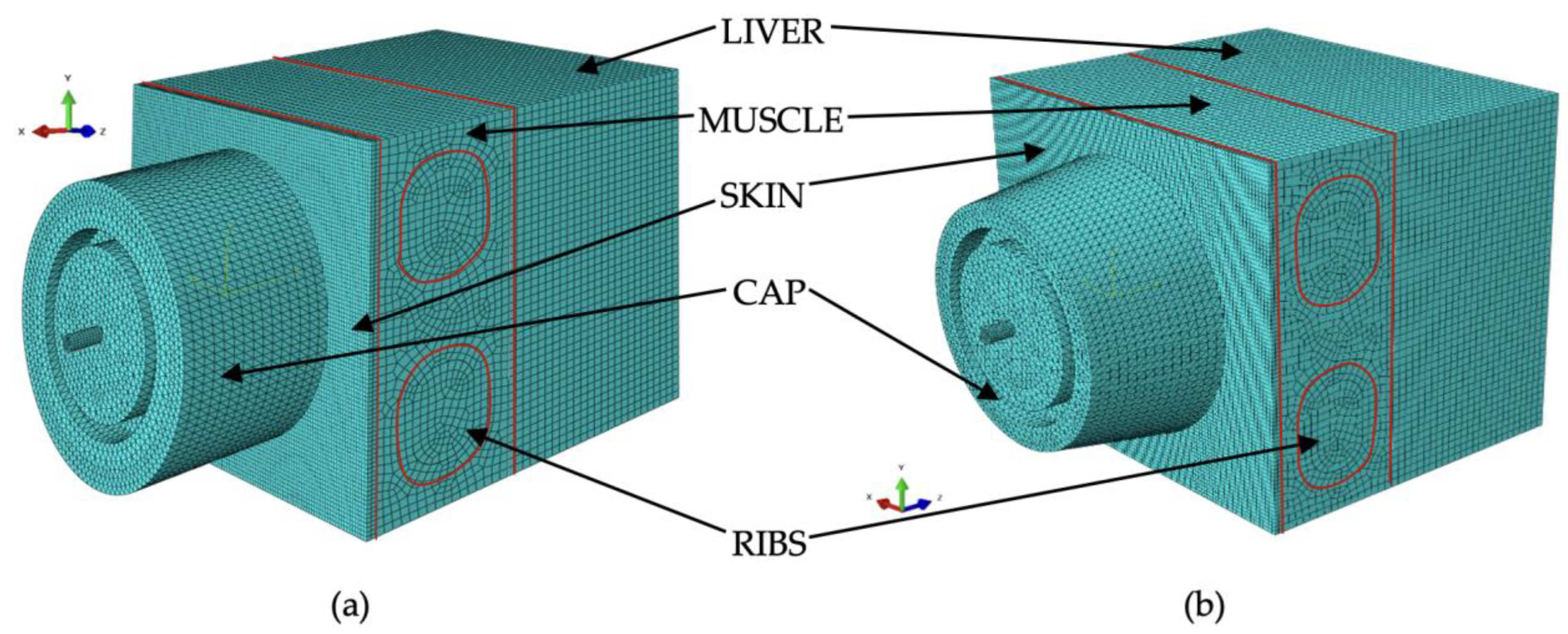 Livers 05 00003 g011