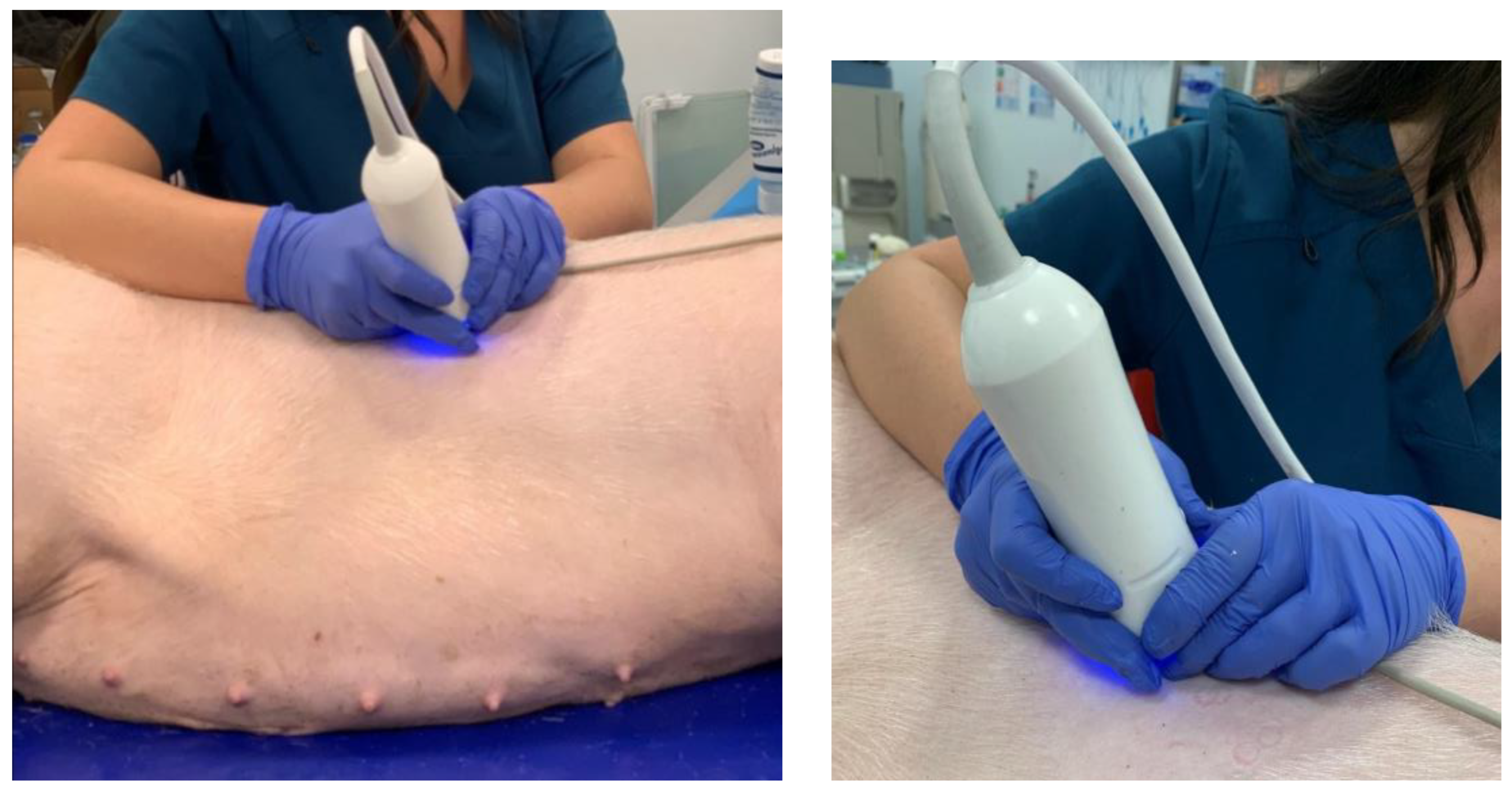 Livers 05 00003 g016