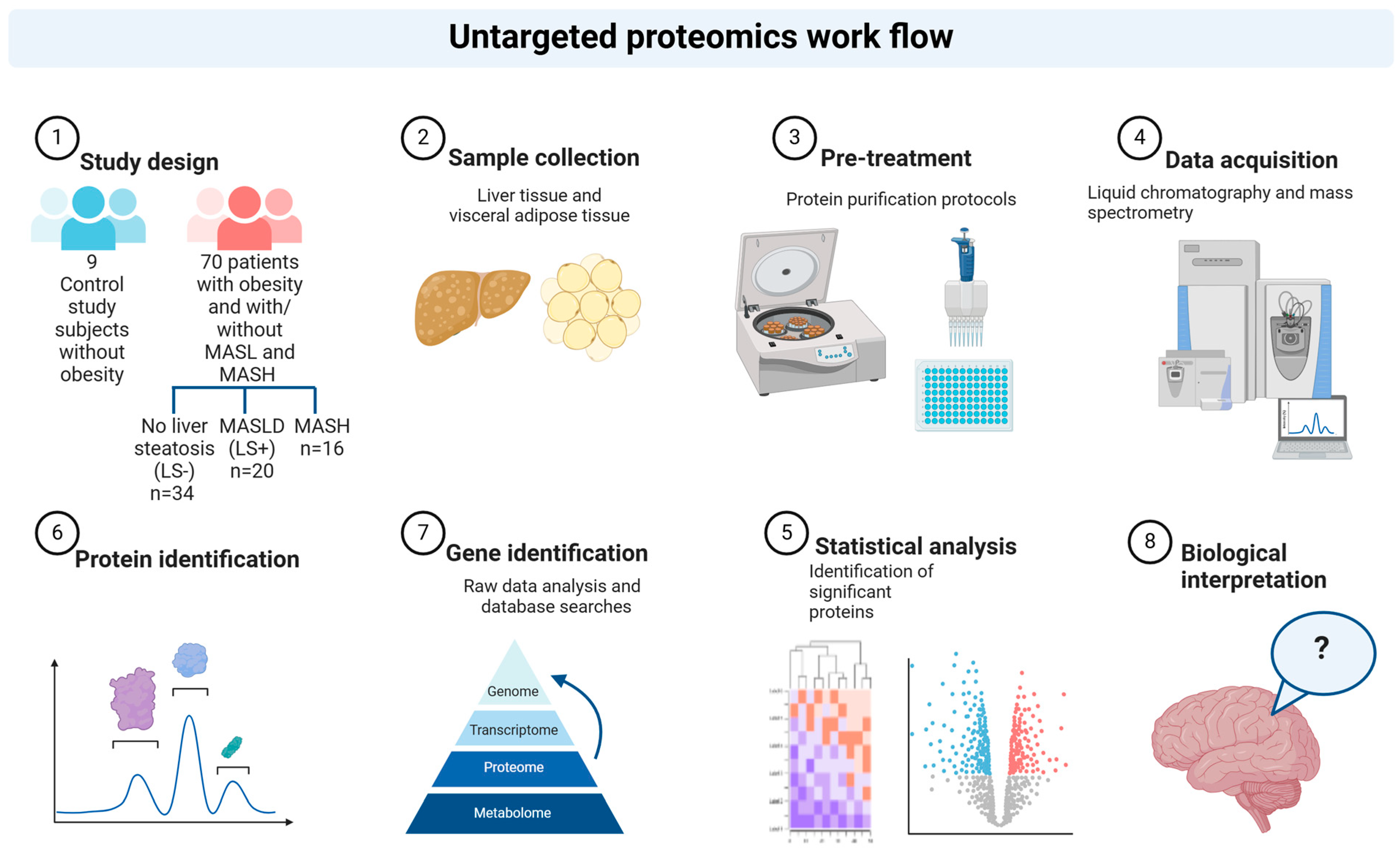 Livers 05 00016 g001