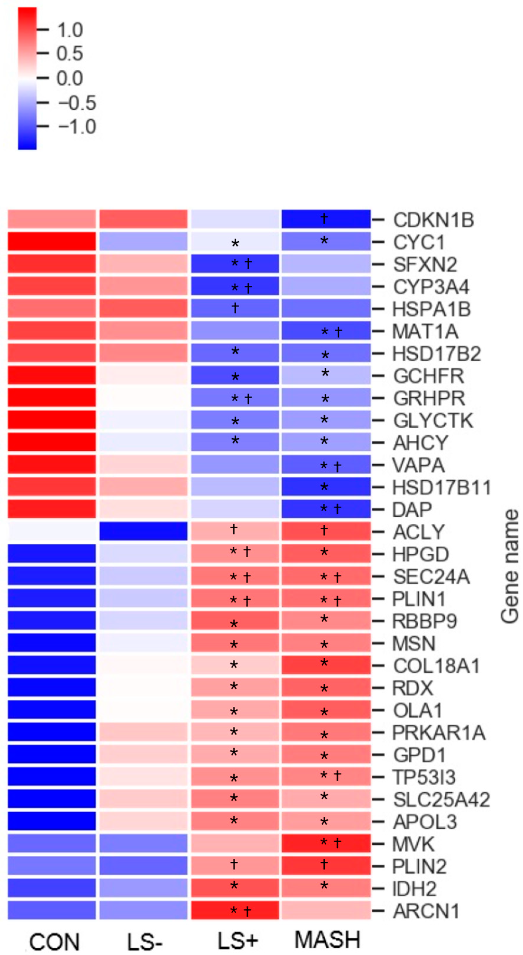 Livers 05 00016 g002