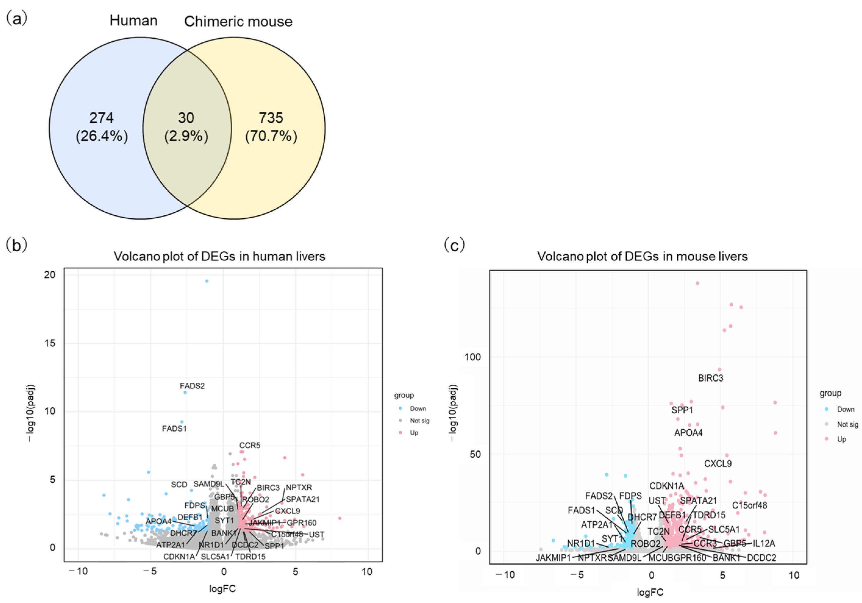 Livers 05 00018 g002