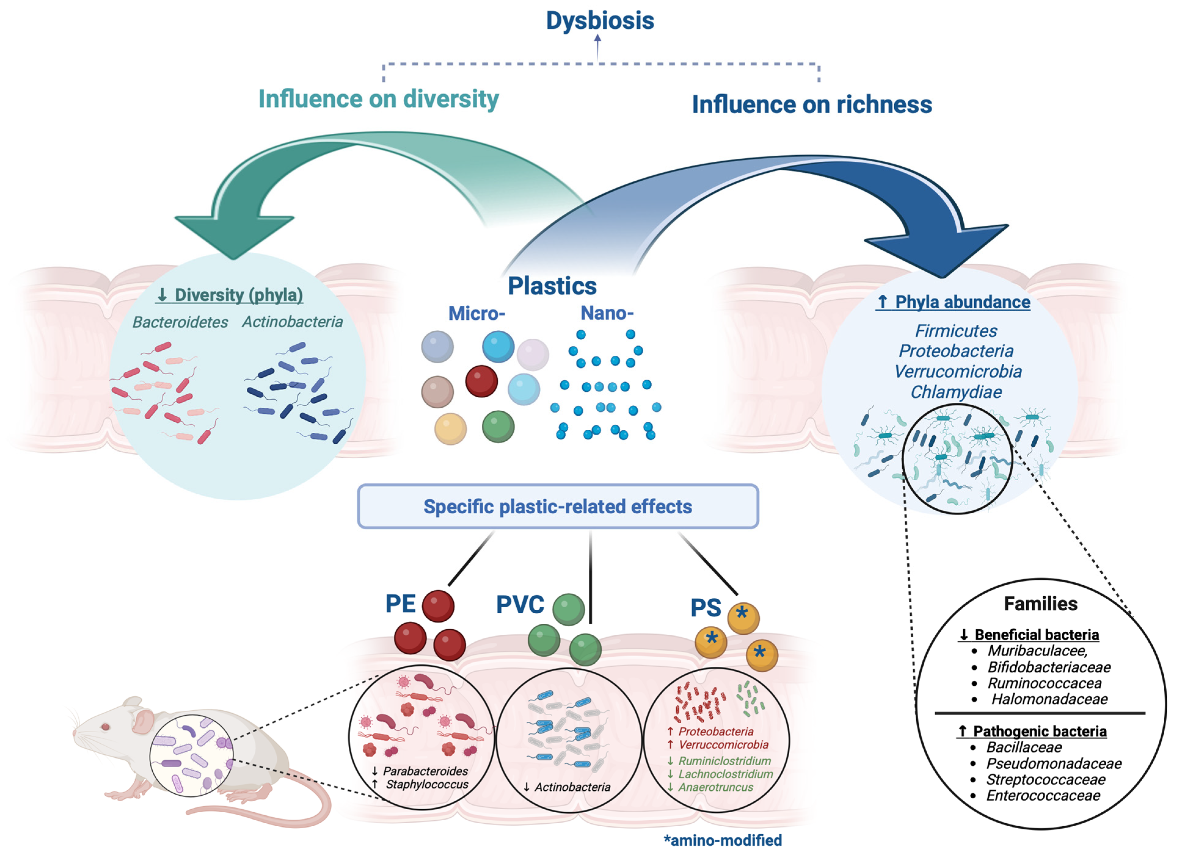 Livers 05 00021 g002