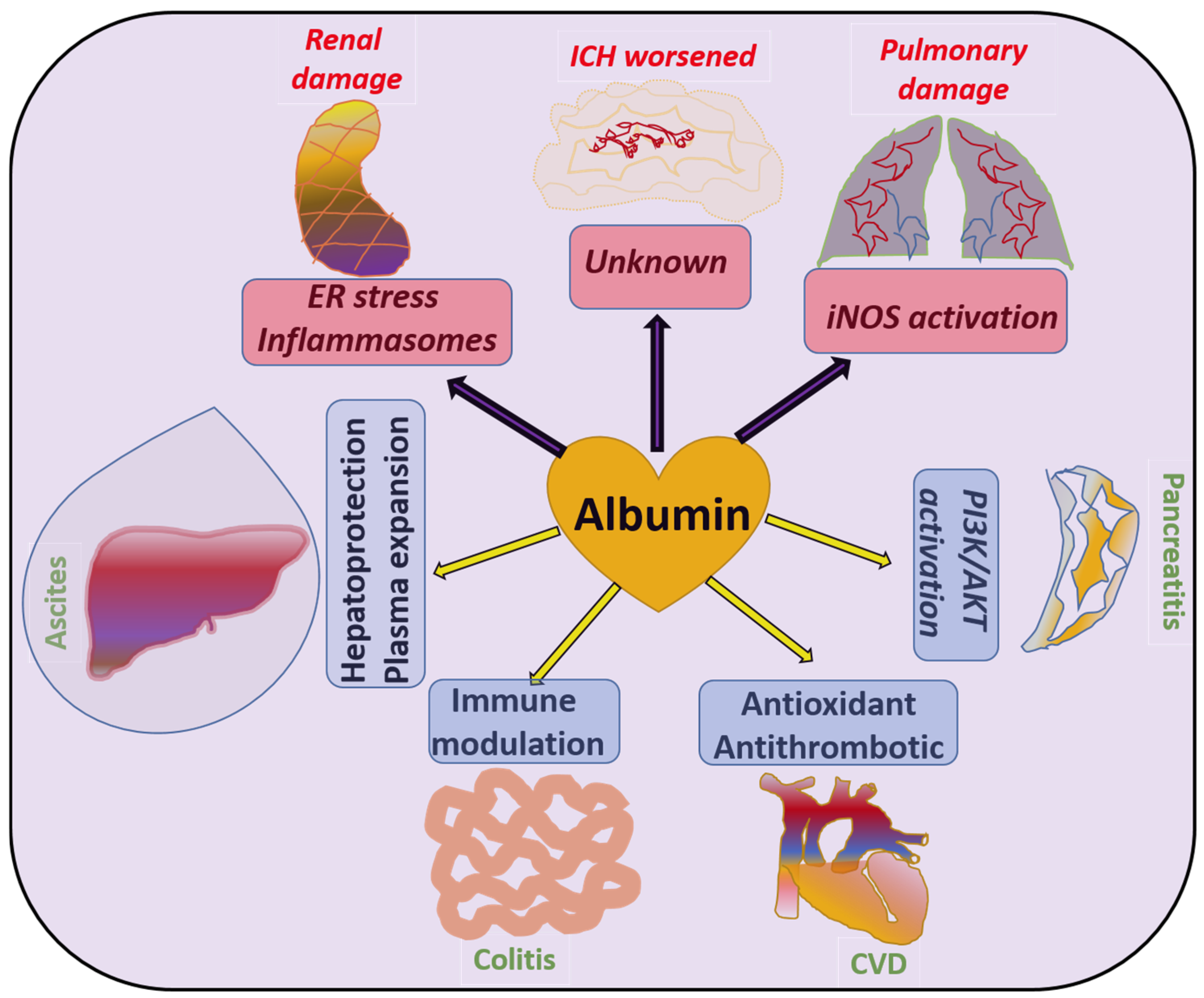 Livers 05 00027 g003