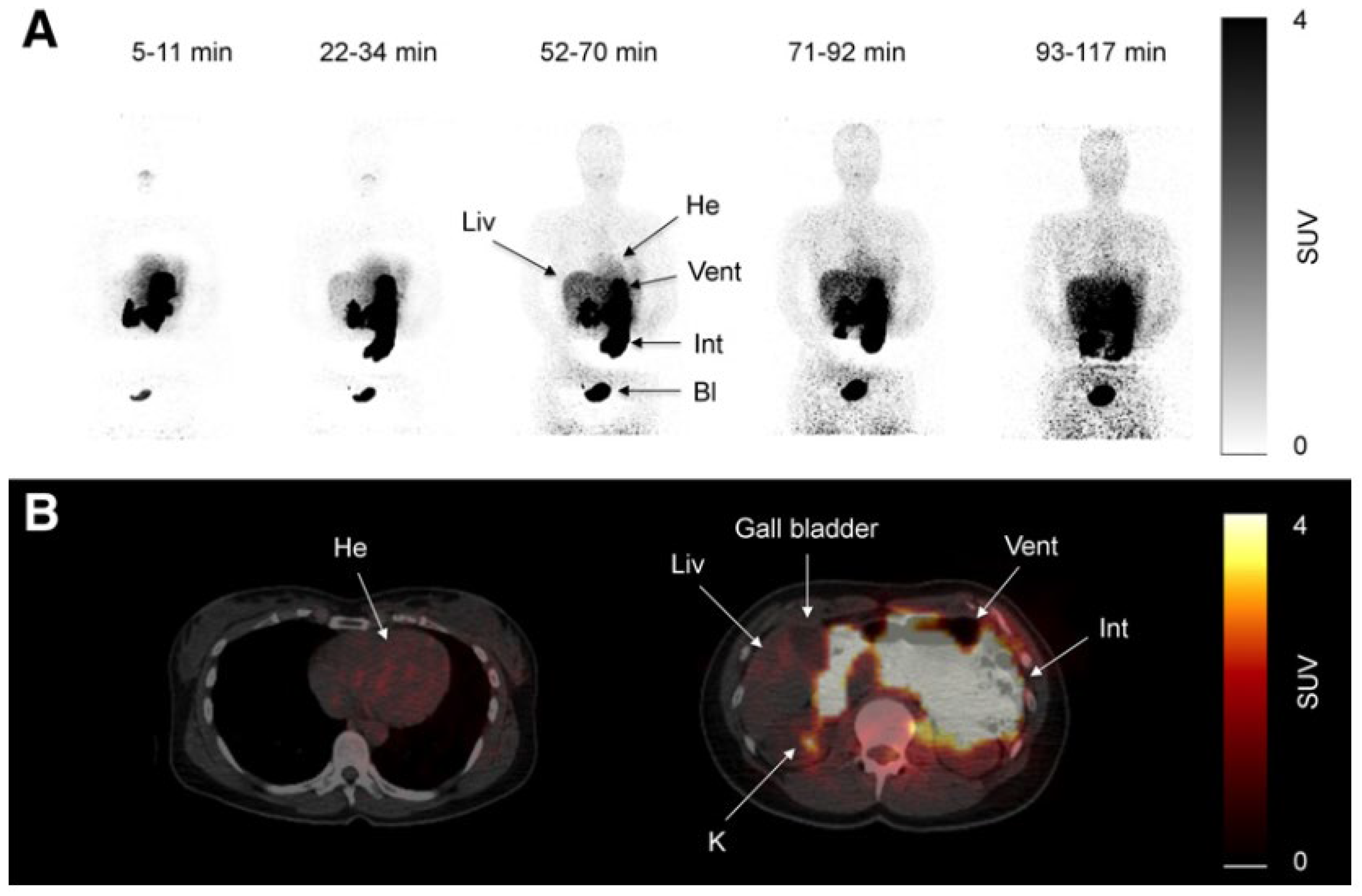 Livers 05 00035 g001 Livers 05 00035 g001