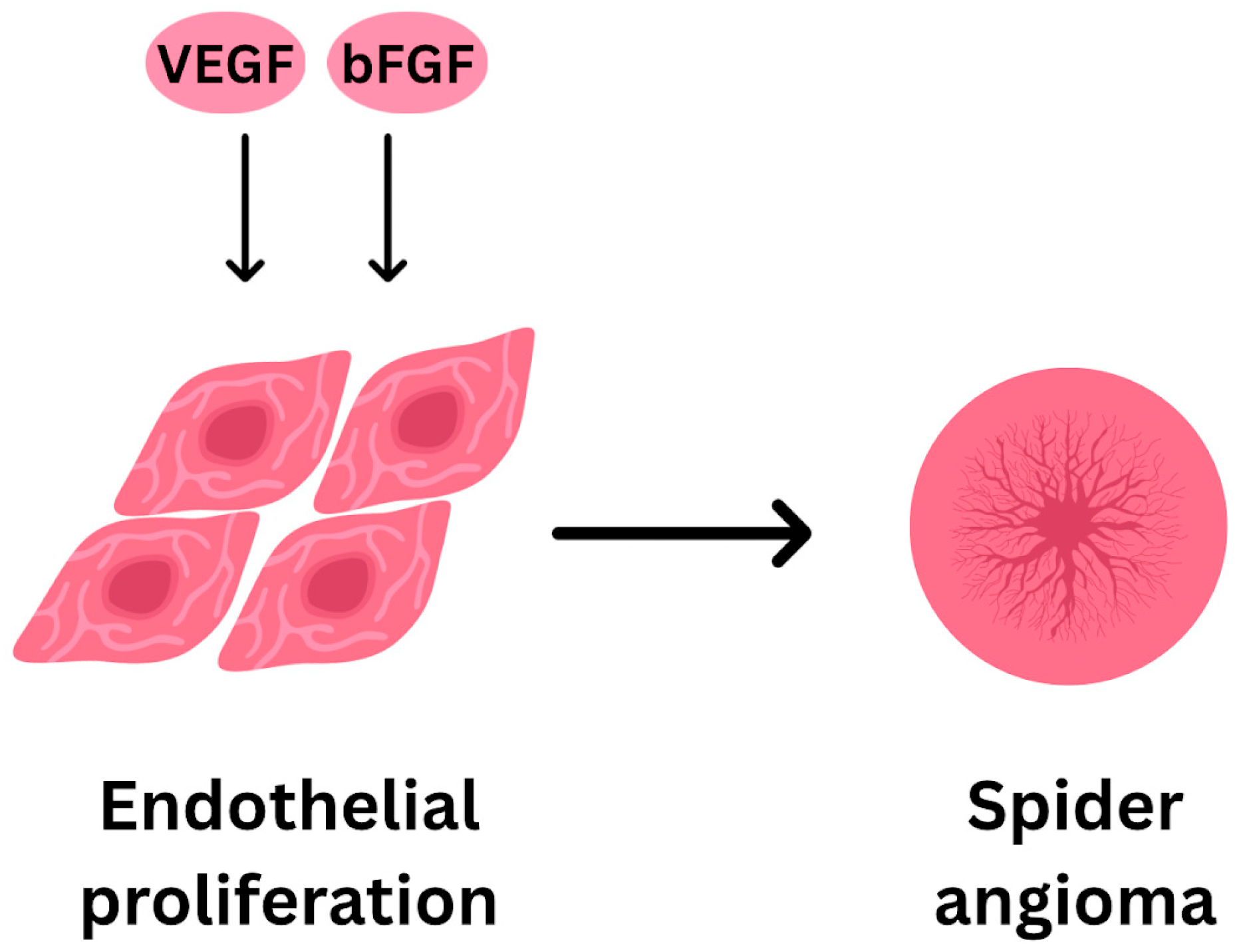 Livers 05 00037 g002
