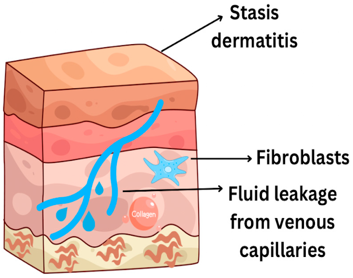 Livers 05 00037 g005