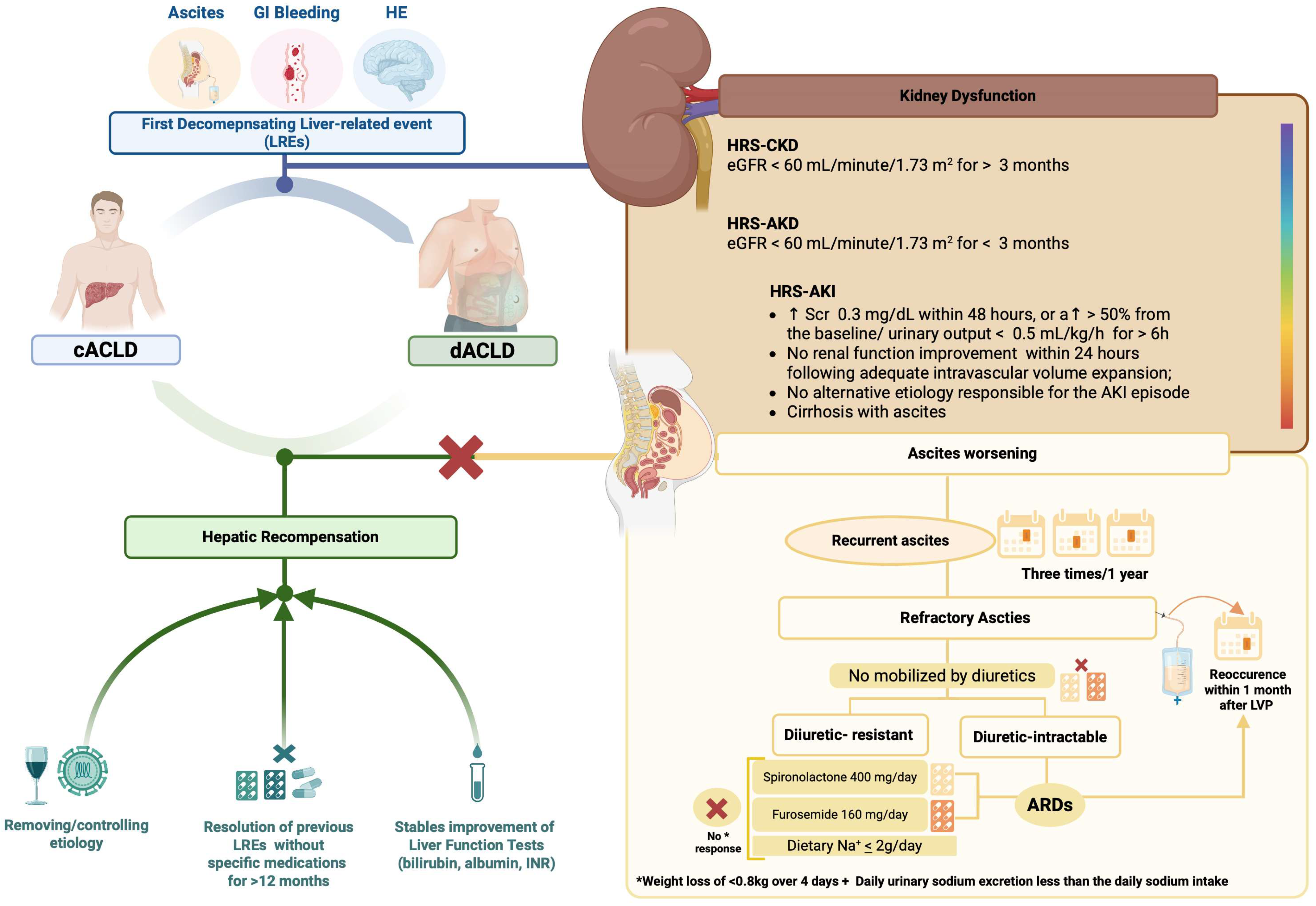 Livers 05 00046 g001