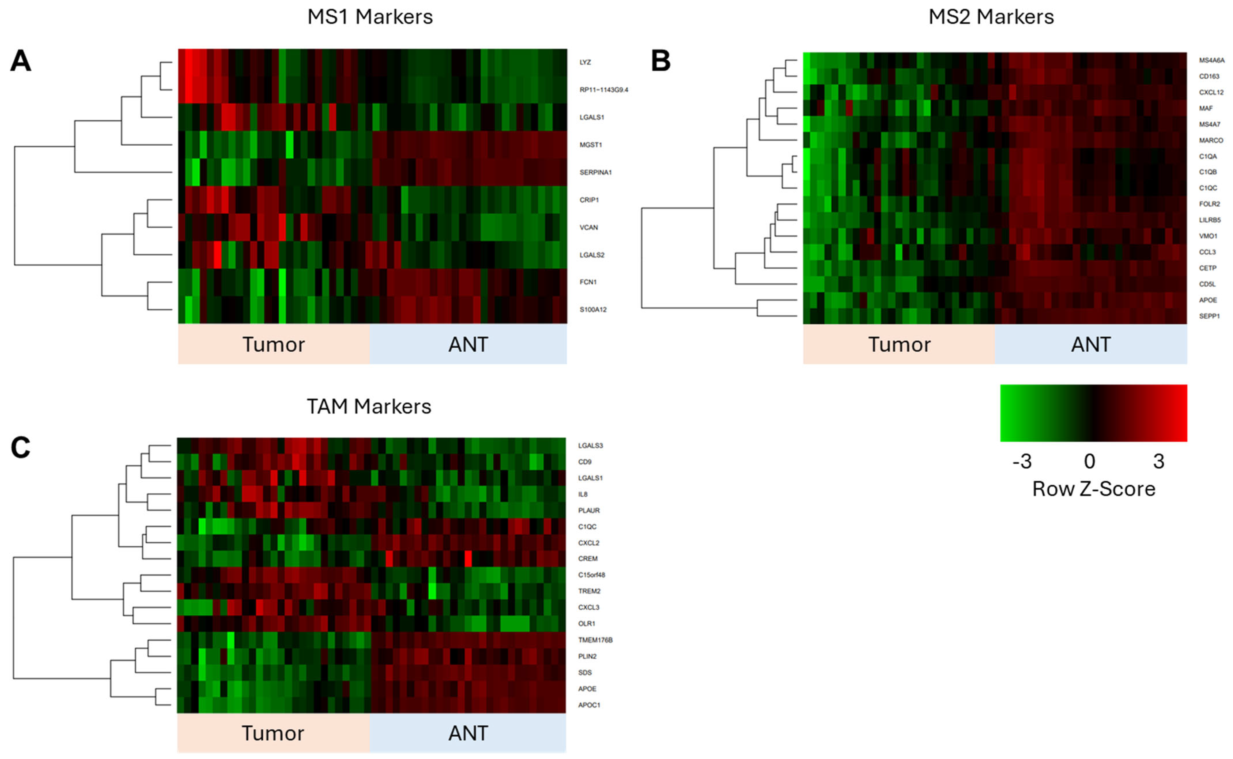 Livers 05 00053 g003 Livers 05 00053 g003