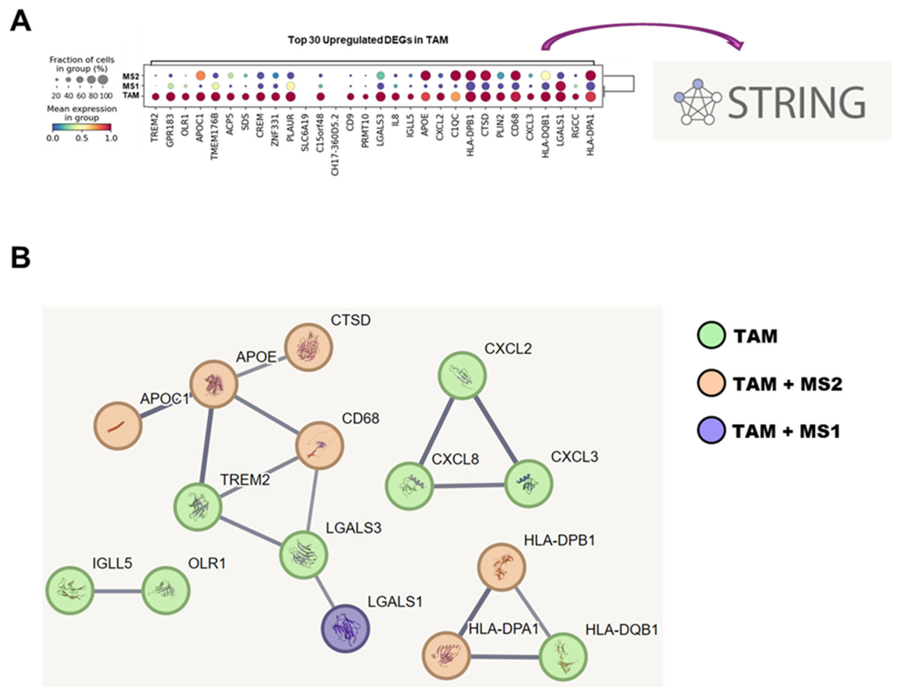 Livers 05 00053 g005 Livers 05 00053 g005