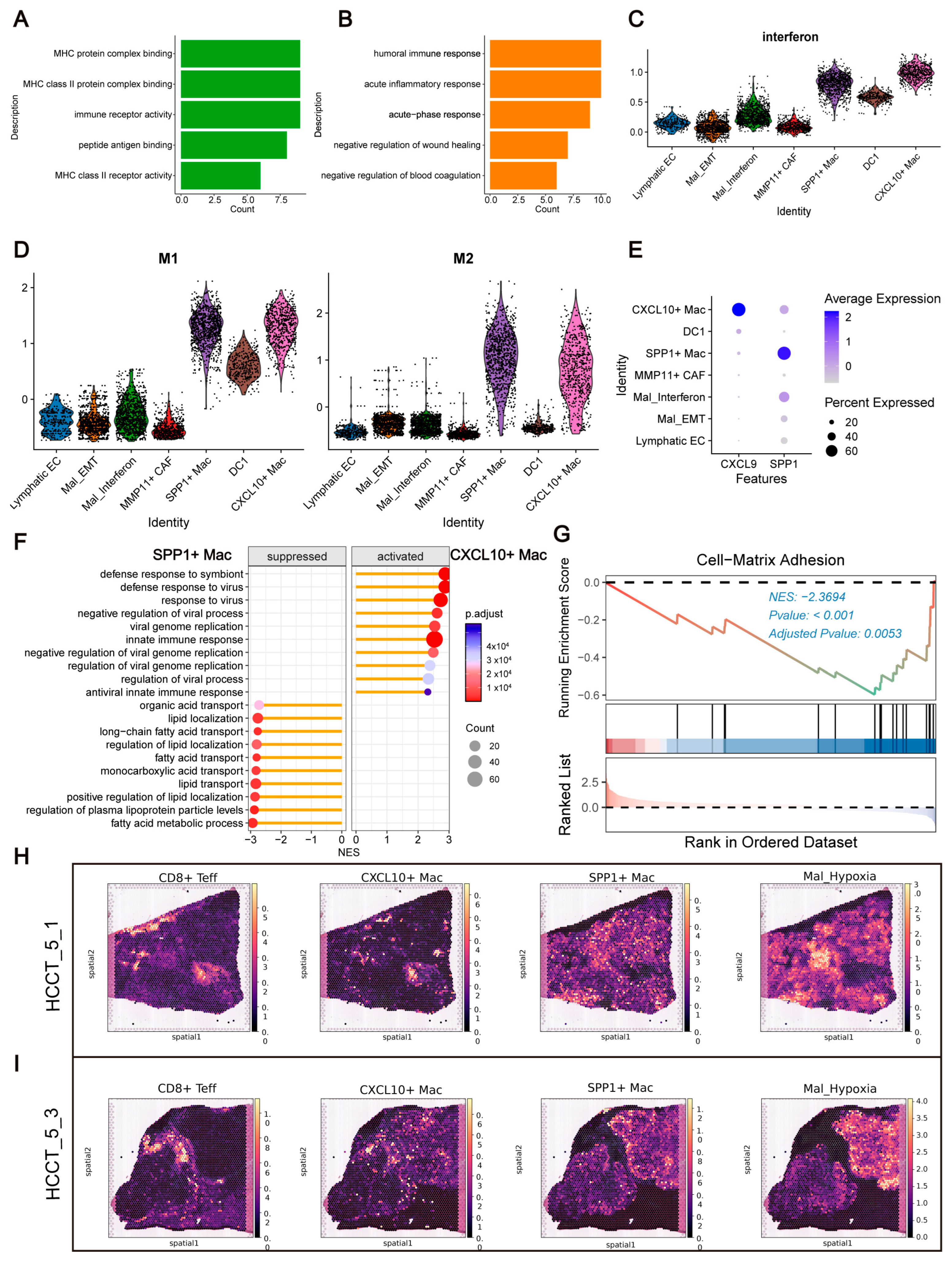 Livers 05 00062 g007