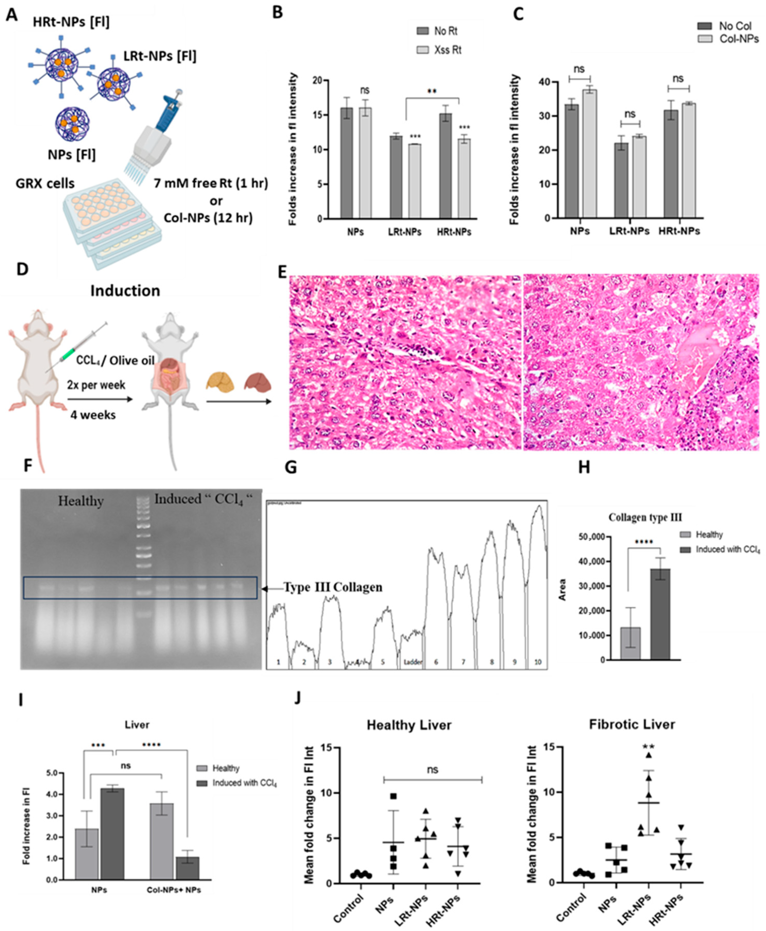 Livers 05 00063 g002 Livers 05 00063 g002