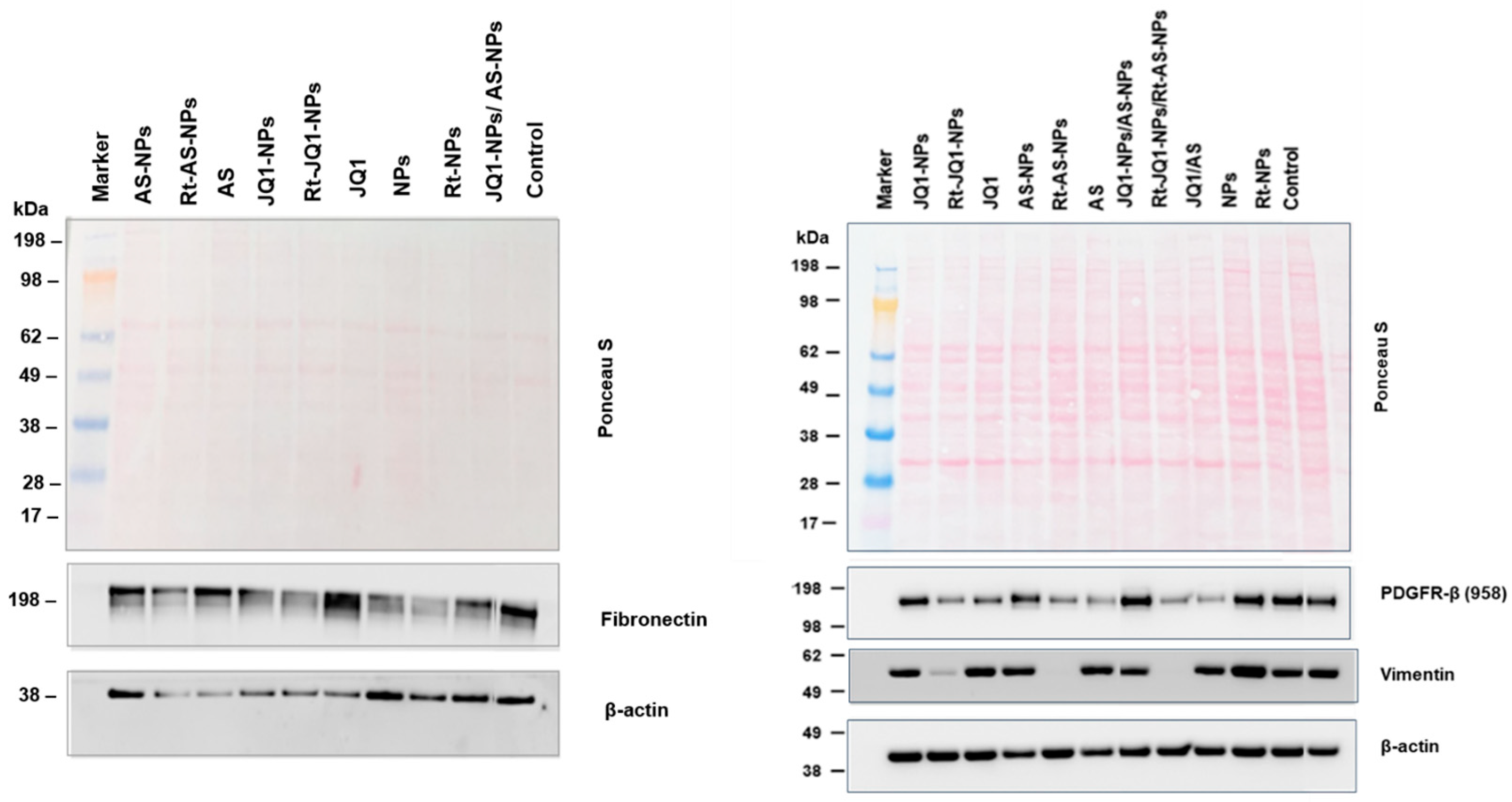 Livers 05 00063 g0a5 Livers 05 00063 g0a5