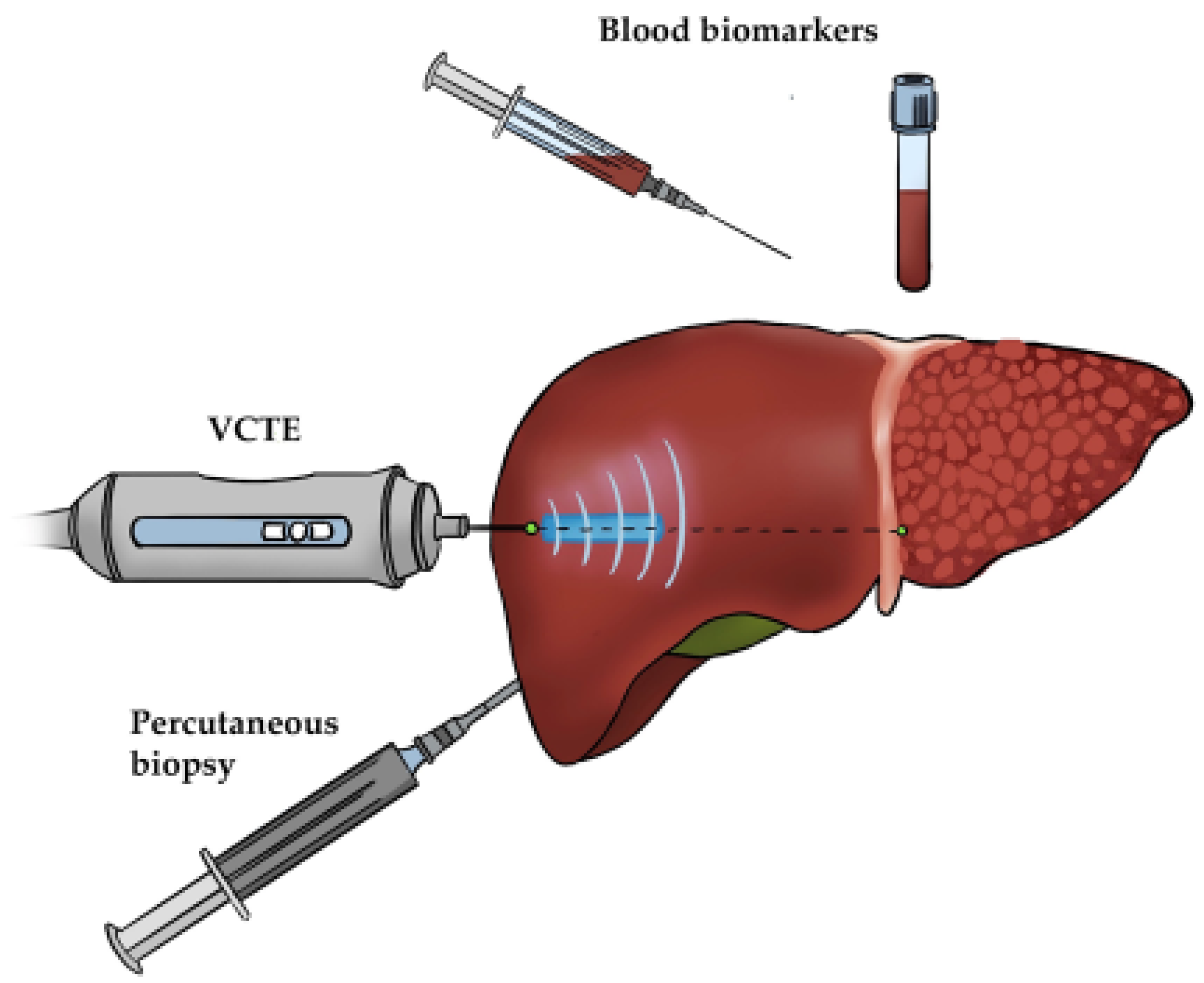Livers 06 00023 g007