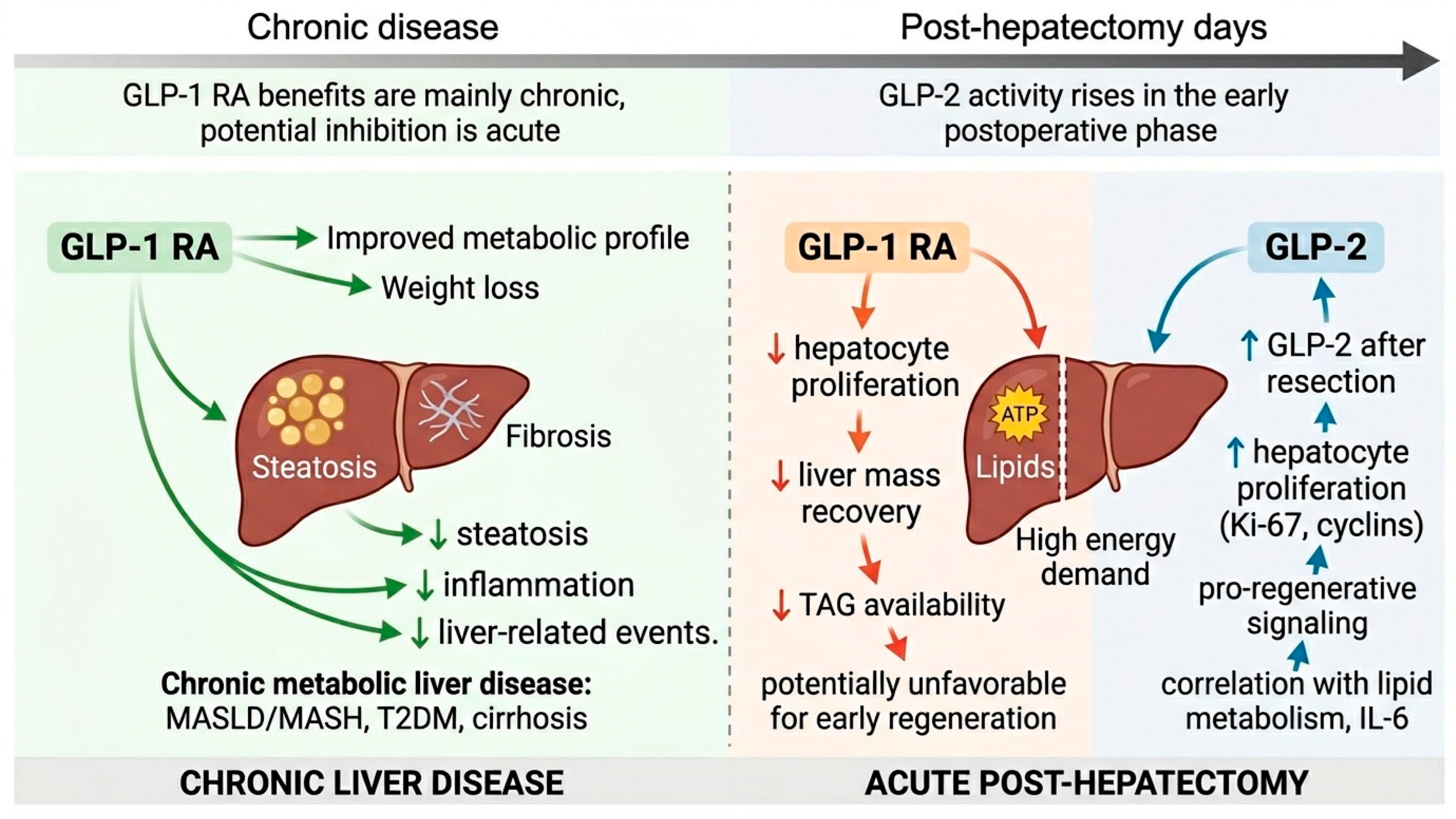 glp 1 6 month results How GLP-1 agonists helped with weight loss and confidence glp 1 6 month results How GLP-1 agonists helped with weight loss and confidence