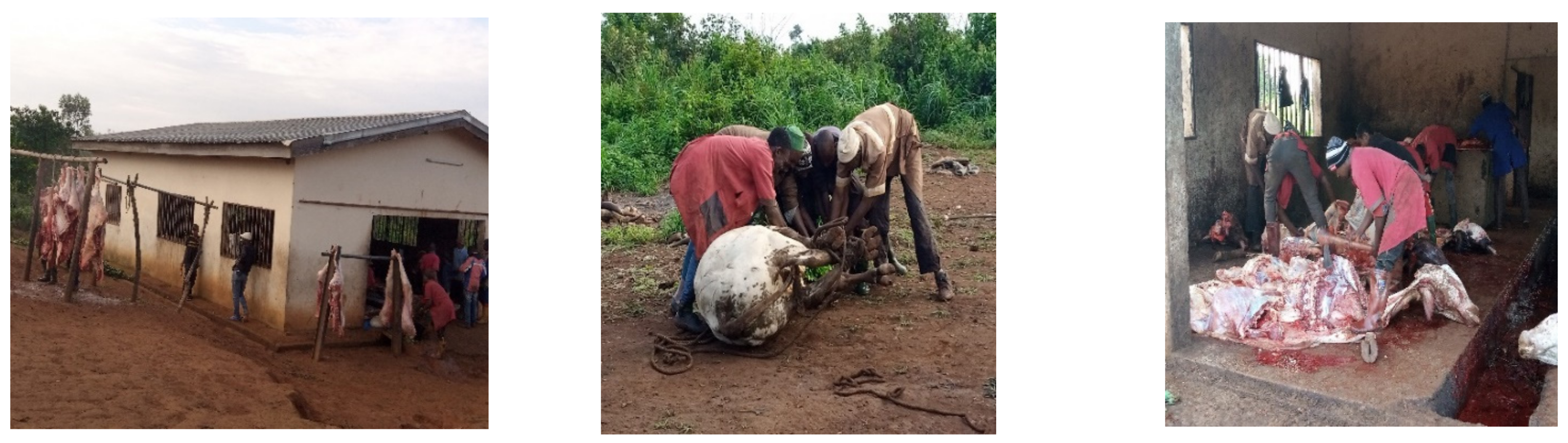 Logistics 06 00086 g002