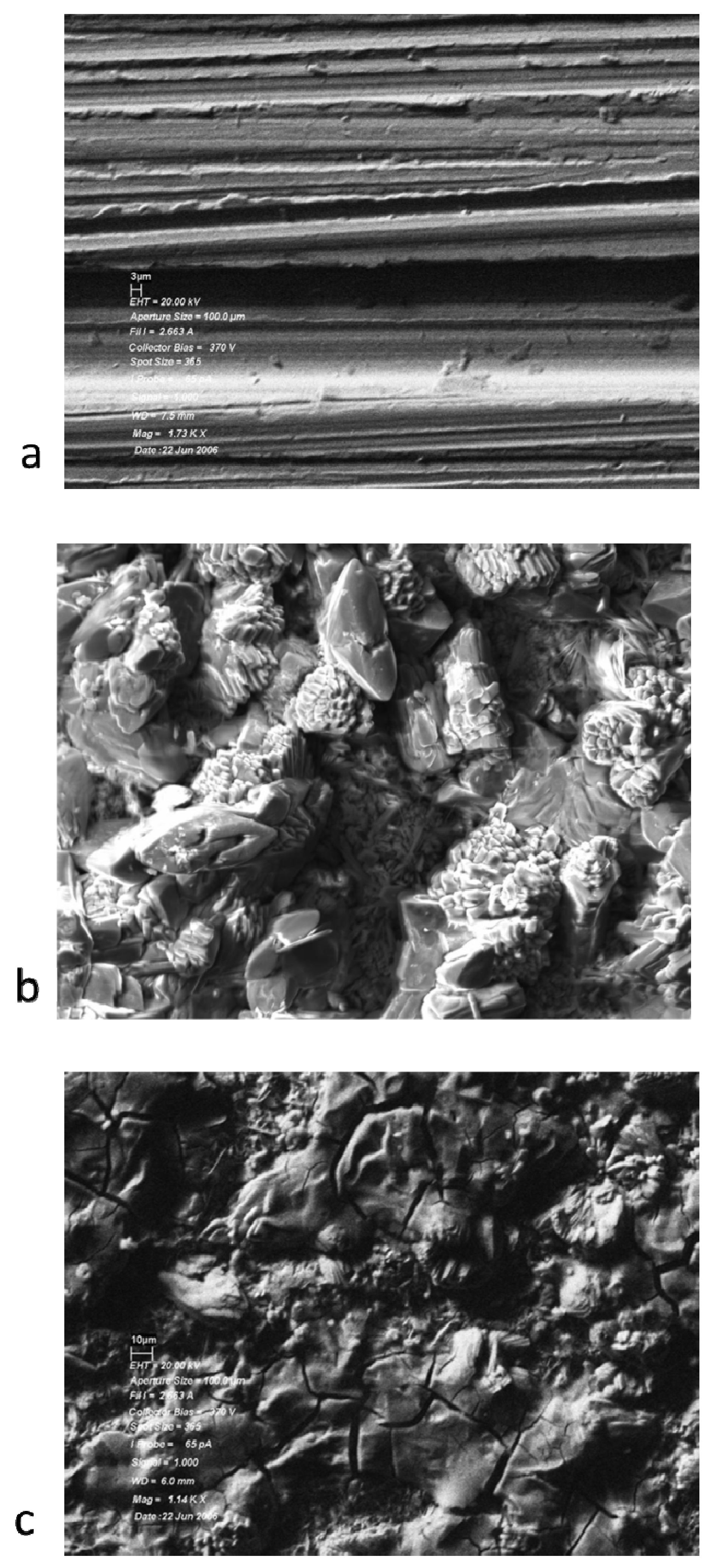 Lubricants 01 00048 g002