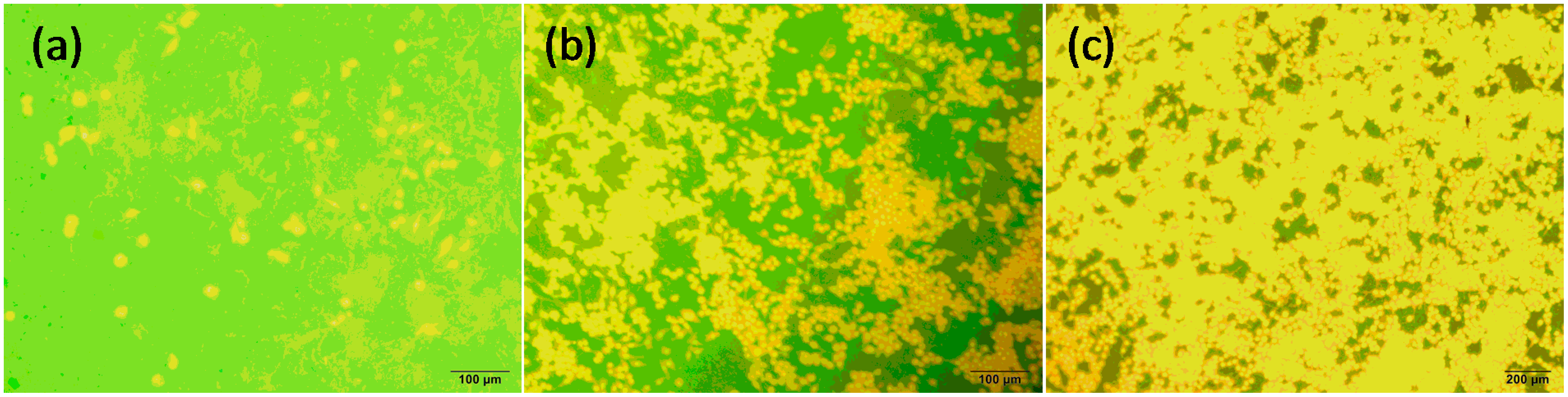 Lubricants 02 00137 g008 1024