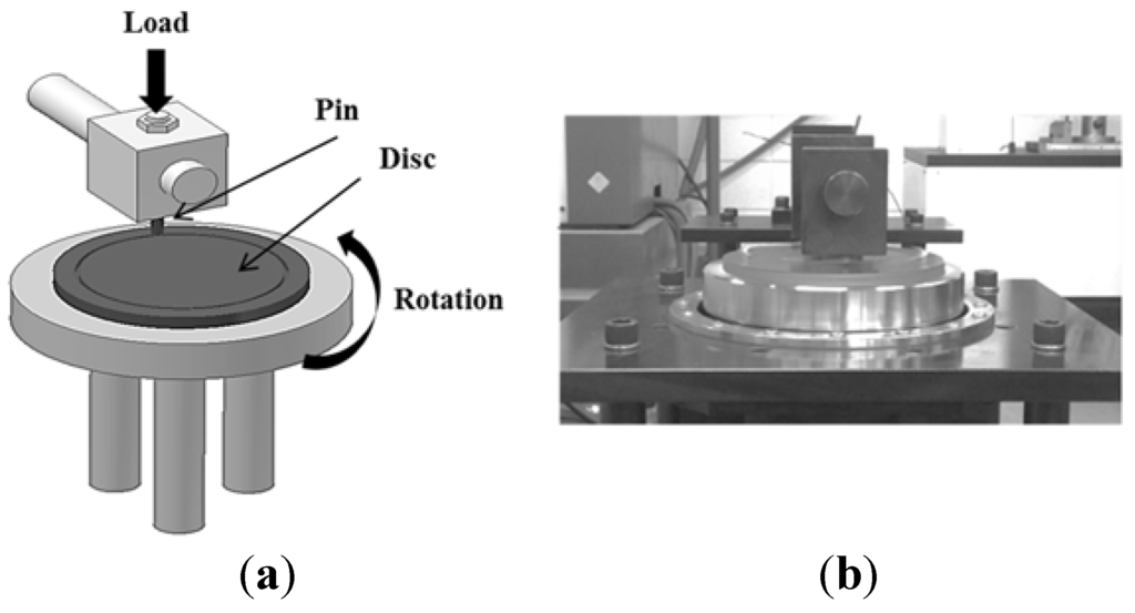 Lubricants | Free Full-Text | Experiment and Numerical Study of Wear in