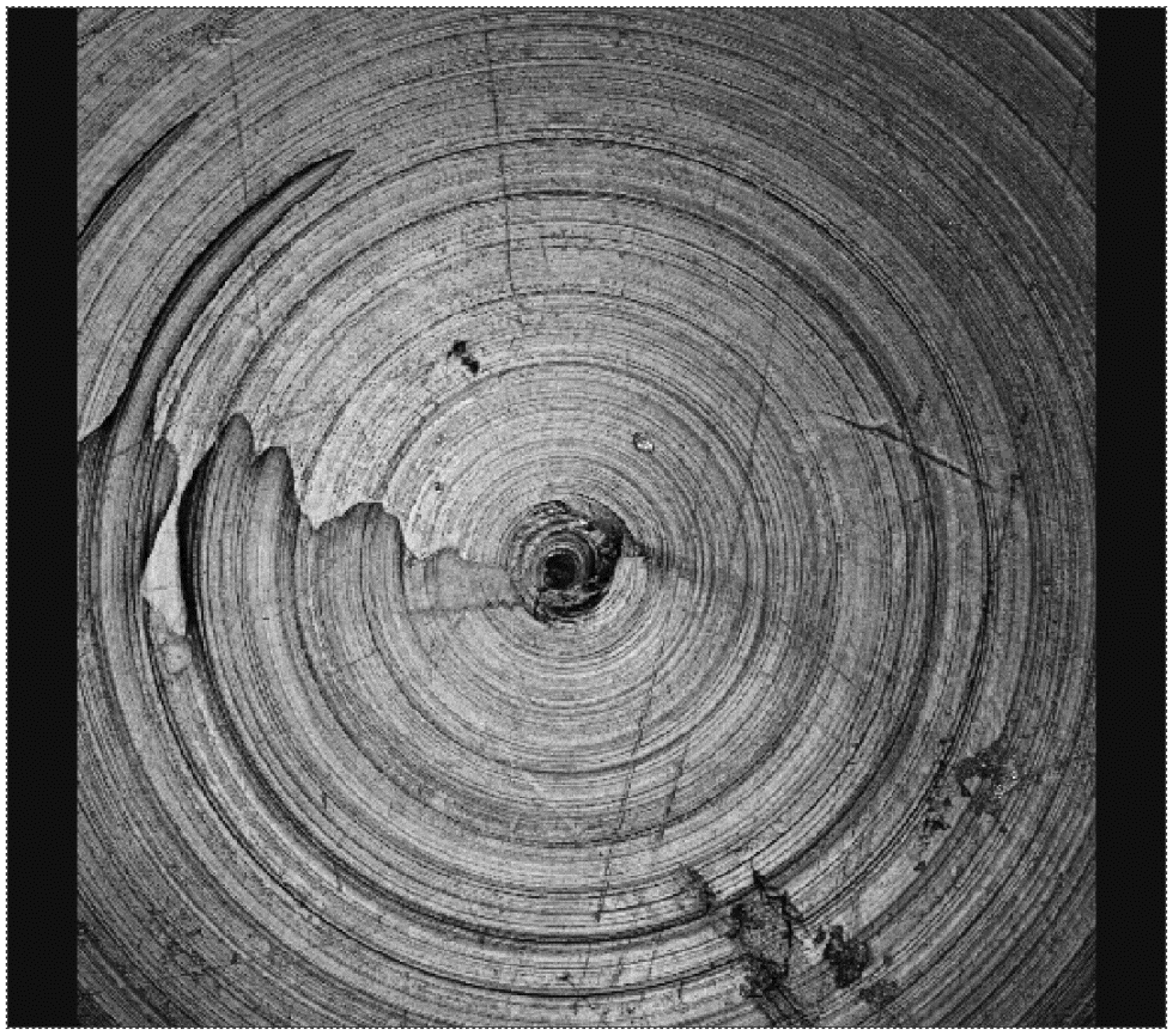 Lubricants 03 00459 g009