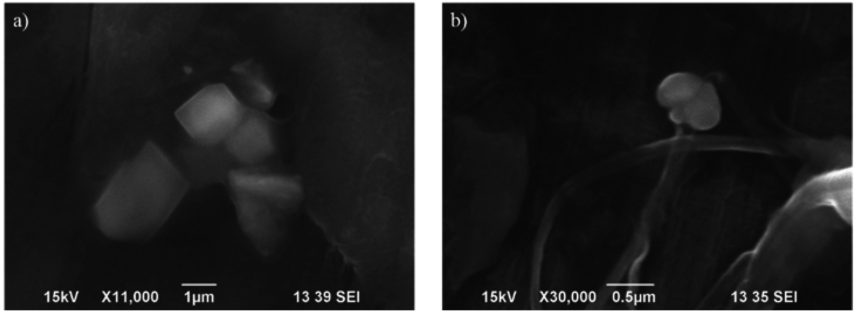 Lubricants 03 00597 g004 1024