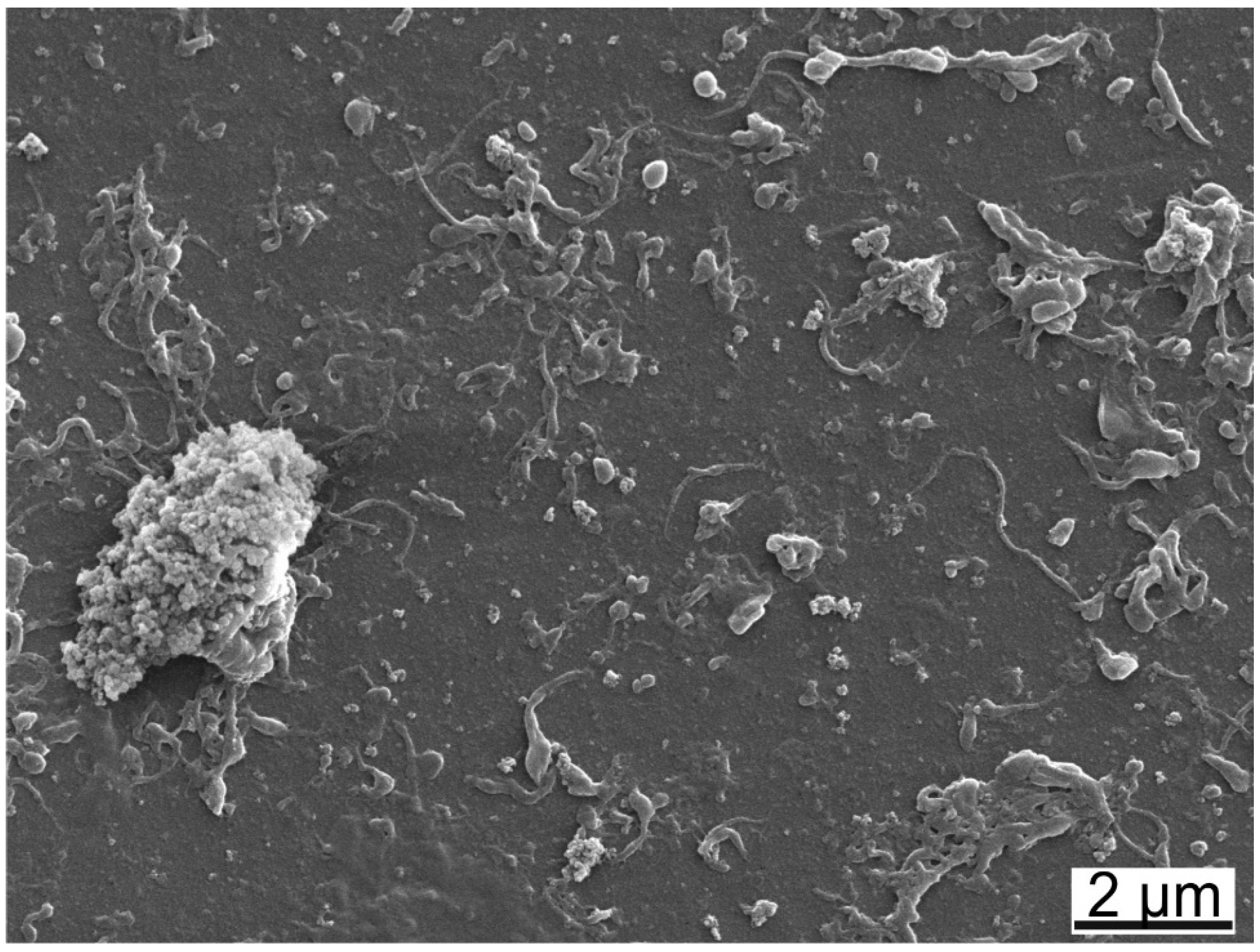 Lubricants 03 00664 g007 1024