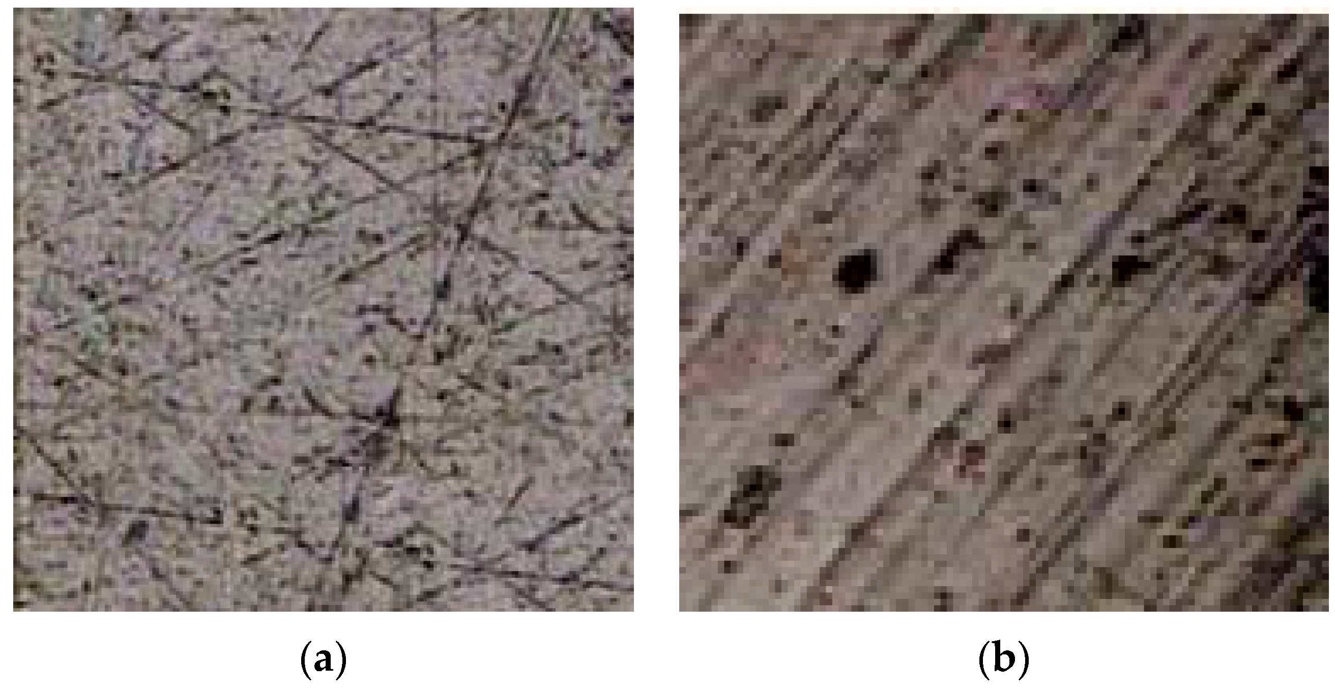 Lubricants 04 00012 g004 1024