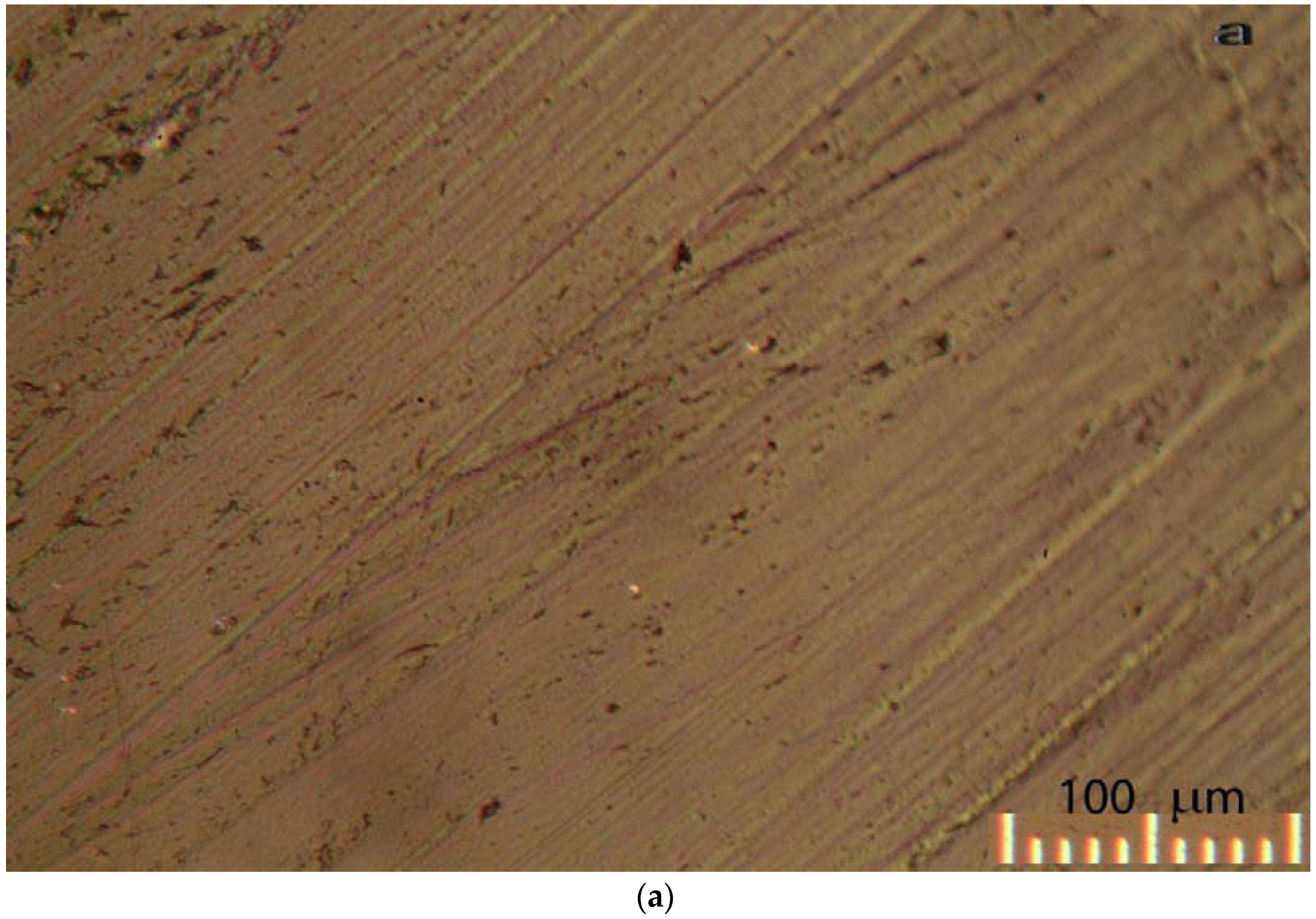 Lubricants 04 00013 g005a 1024