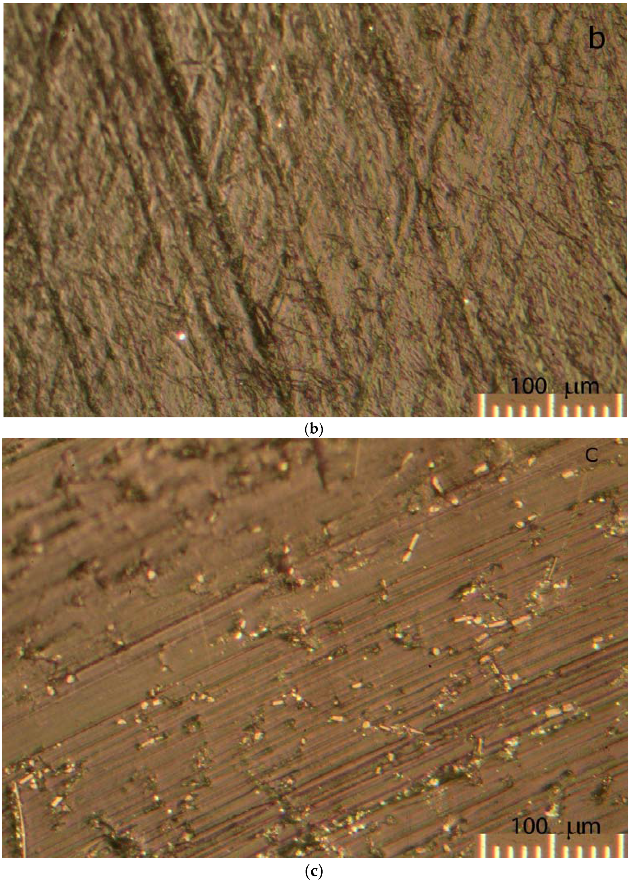 Lubricants 04 00013 g005b 1024