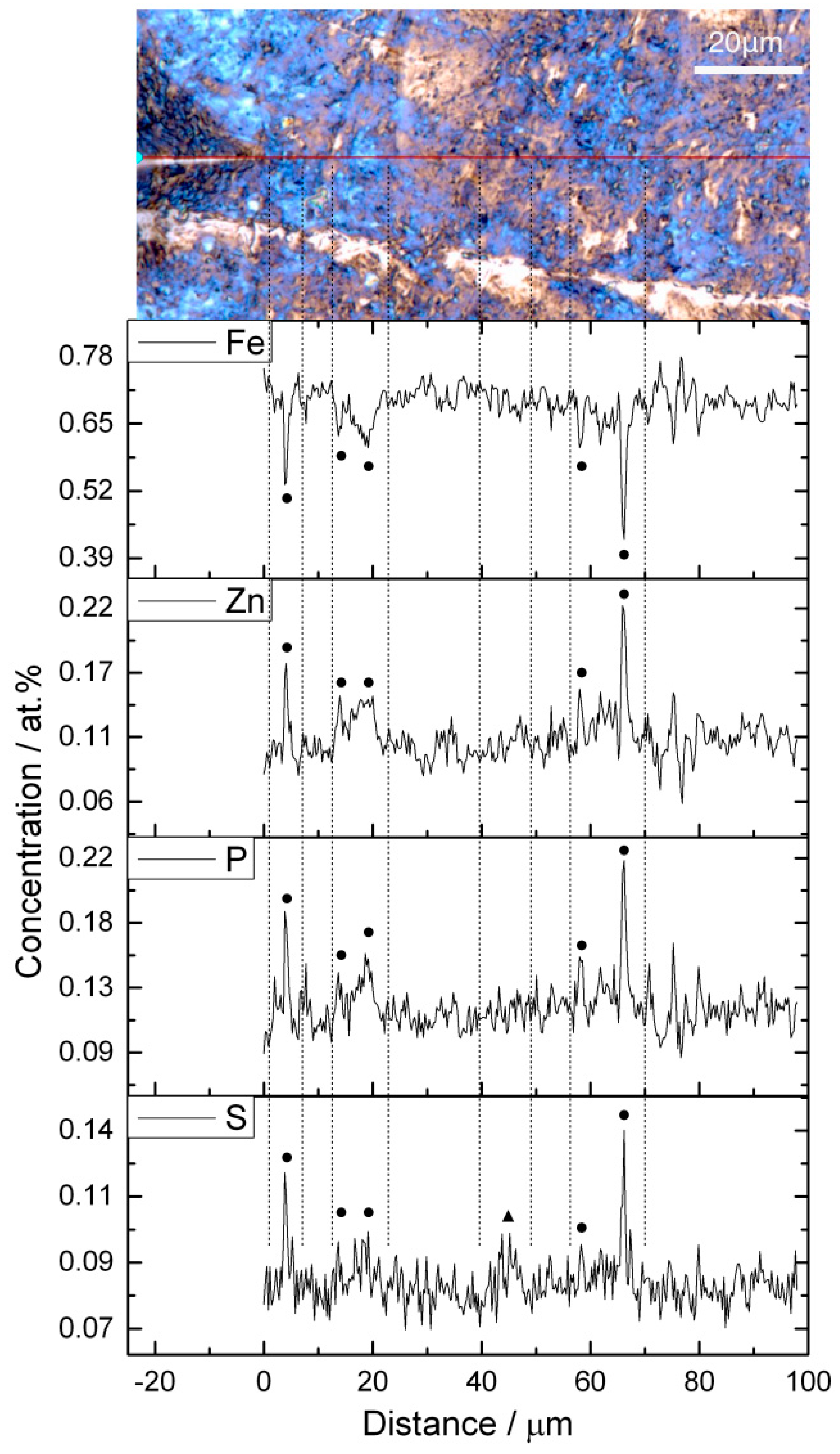Lubricants 04 00019 g003 1024