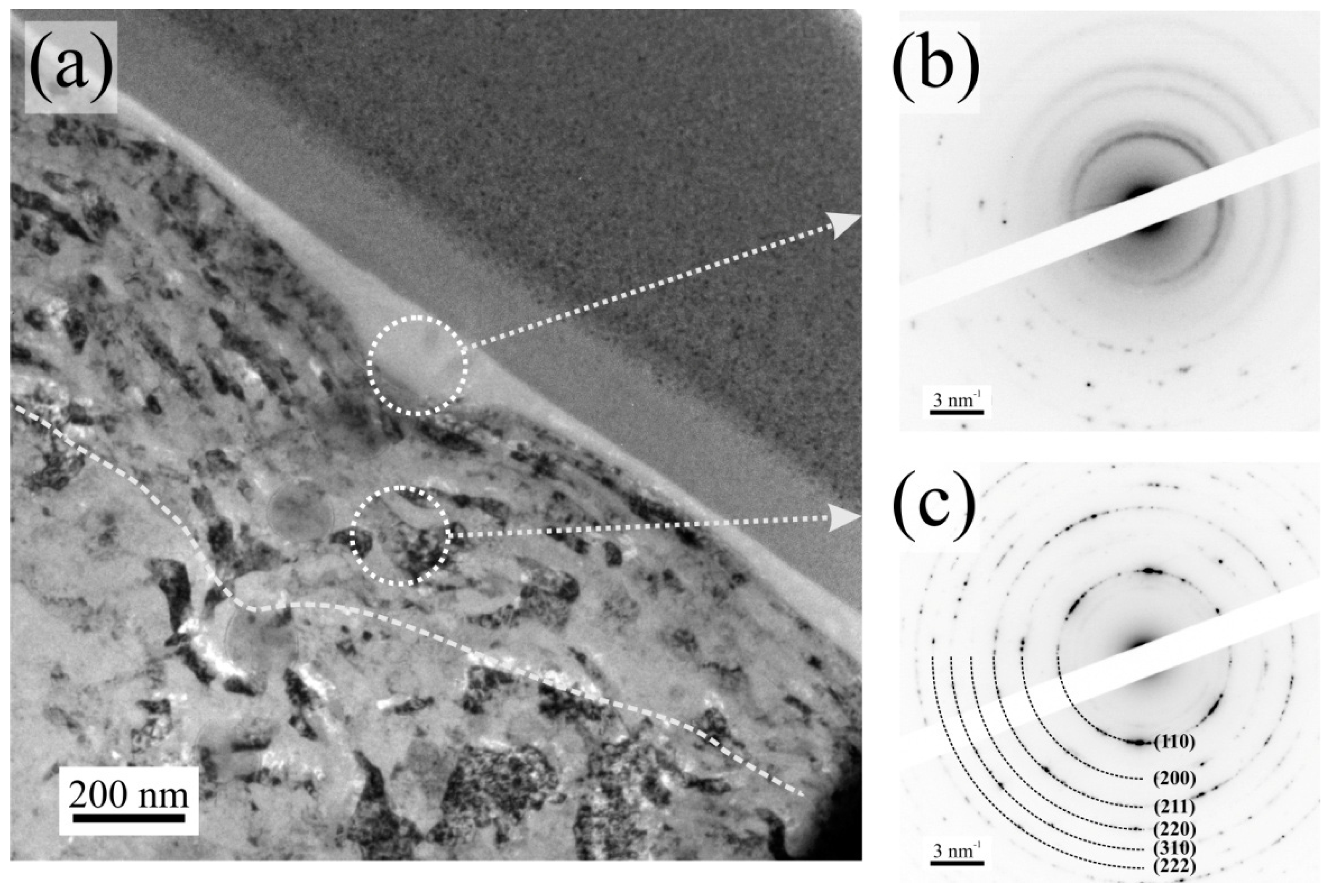 Lubricants 04 00019 g006 1024