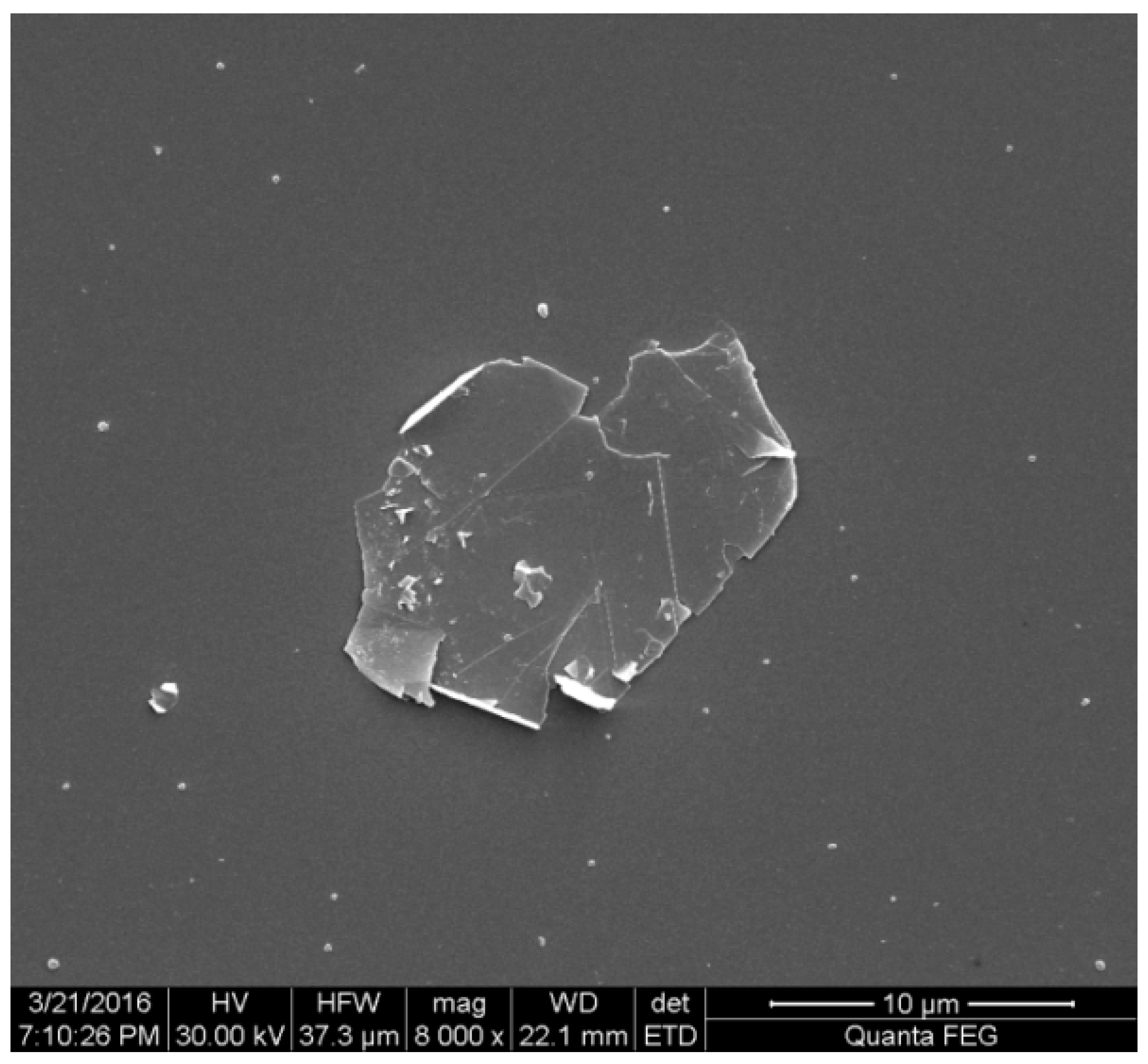 Lubricants 04 00030 g001 1024