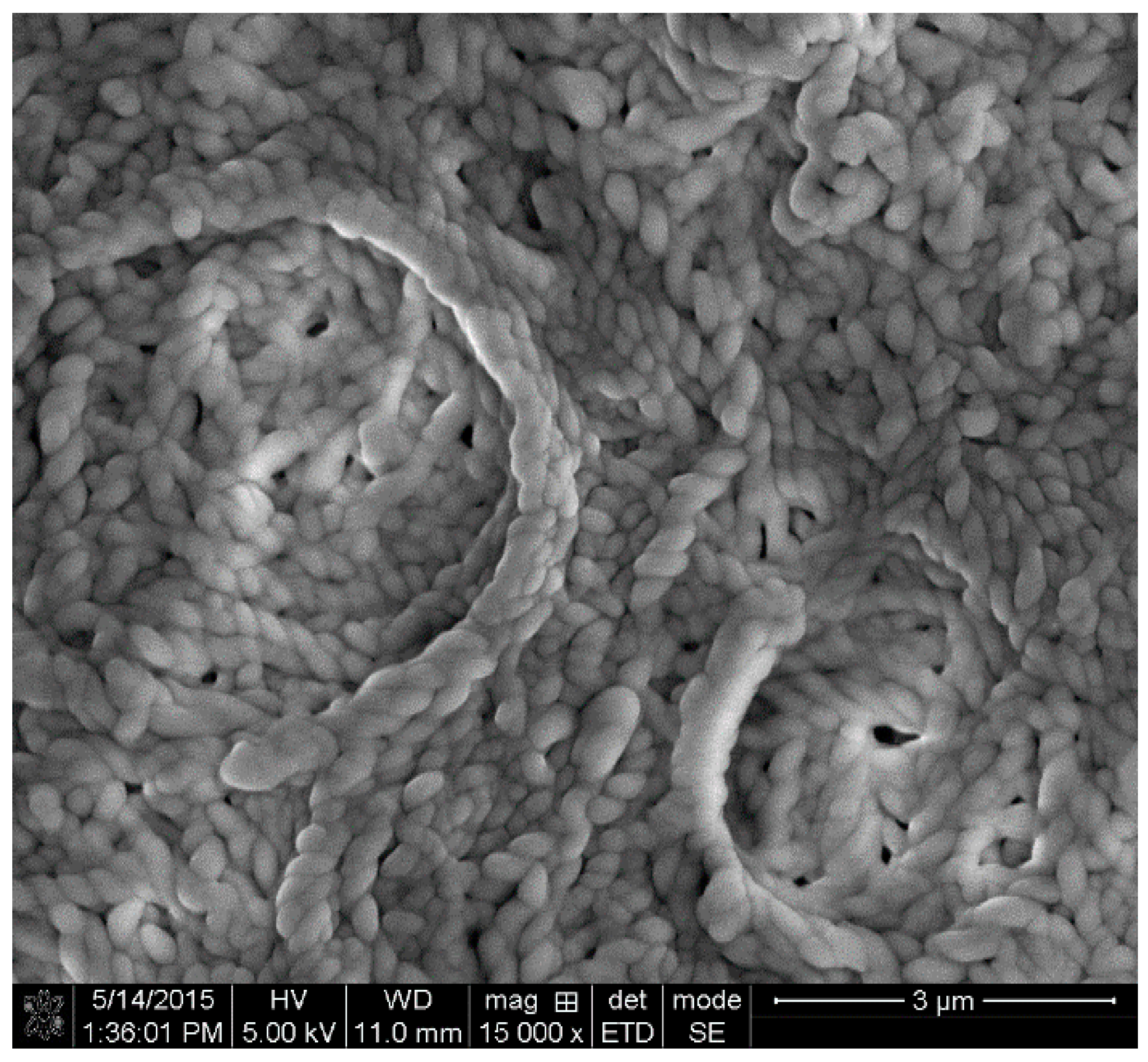 Lubricants 04 00034 g002