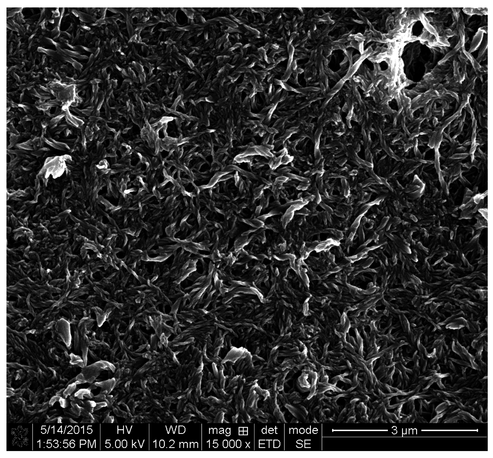 Lubricants 04 00034 g003