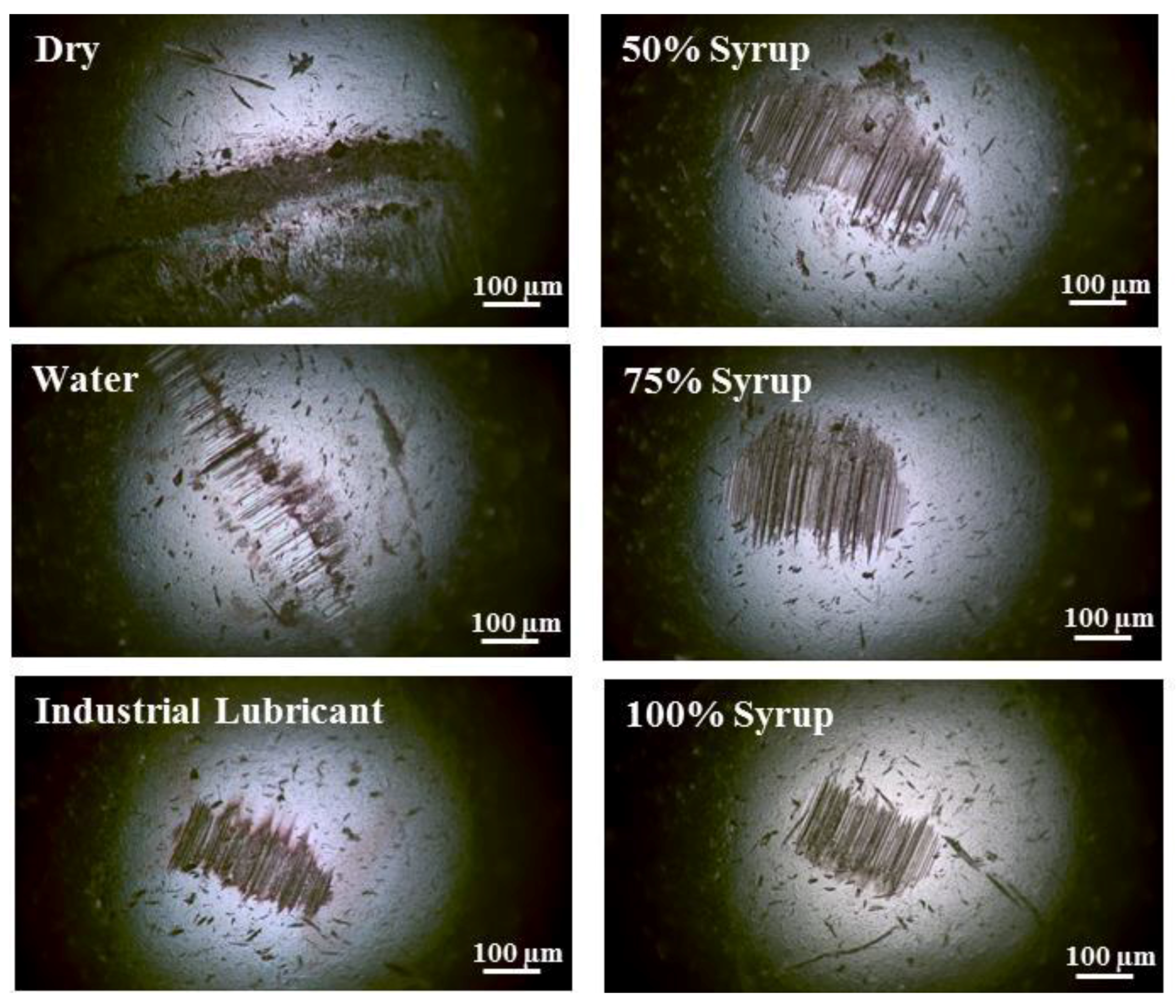 Lubricants 05 00023 g006
