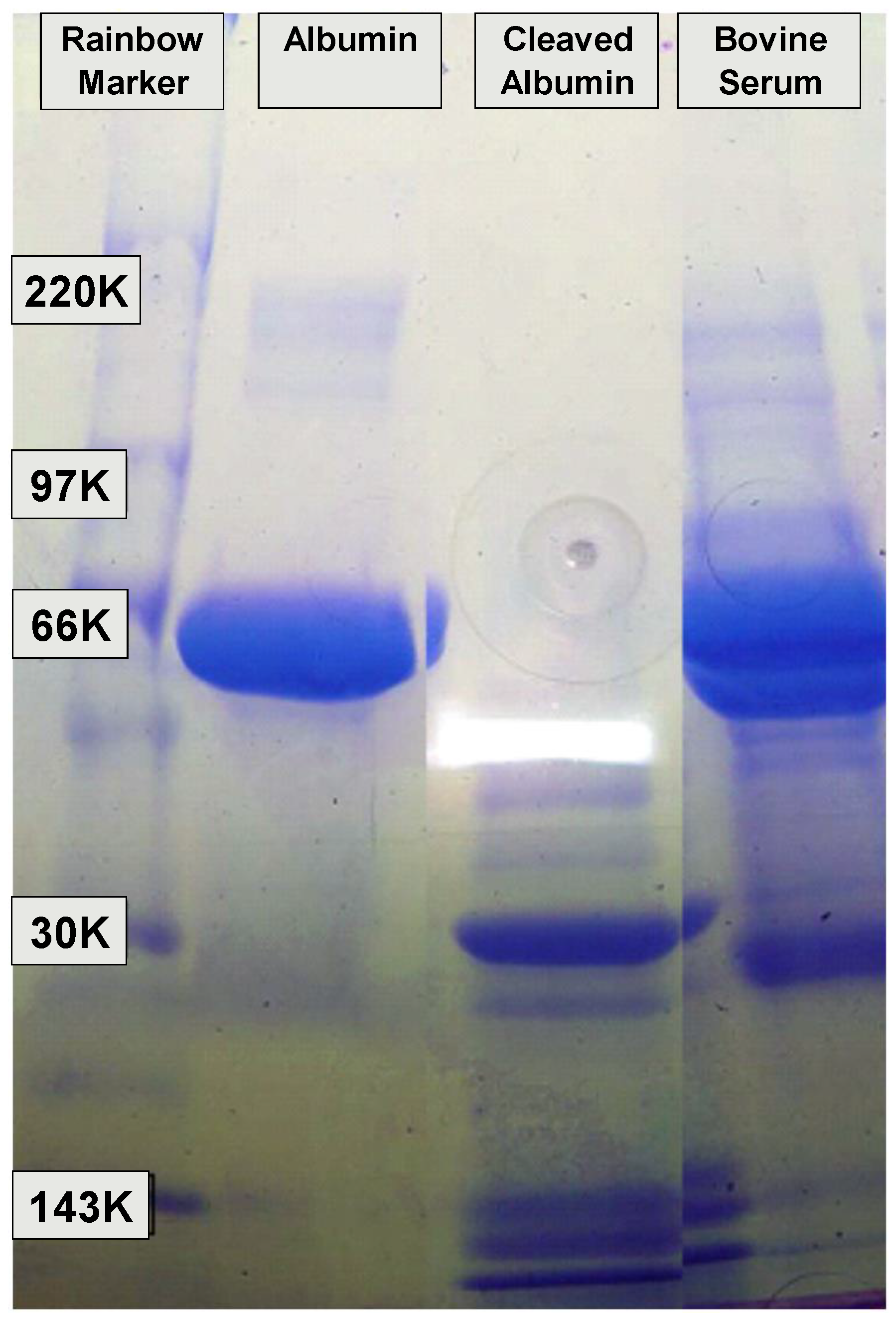 Lubricants 05 00033 g001 550