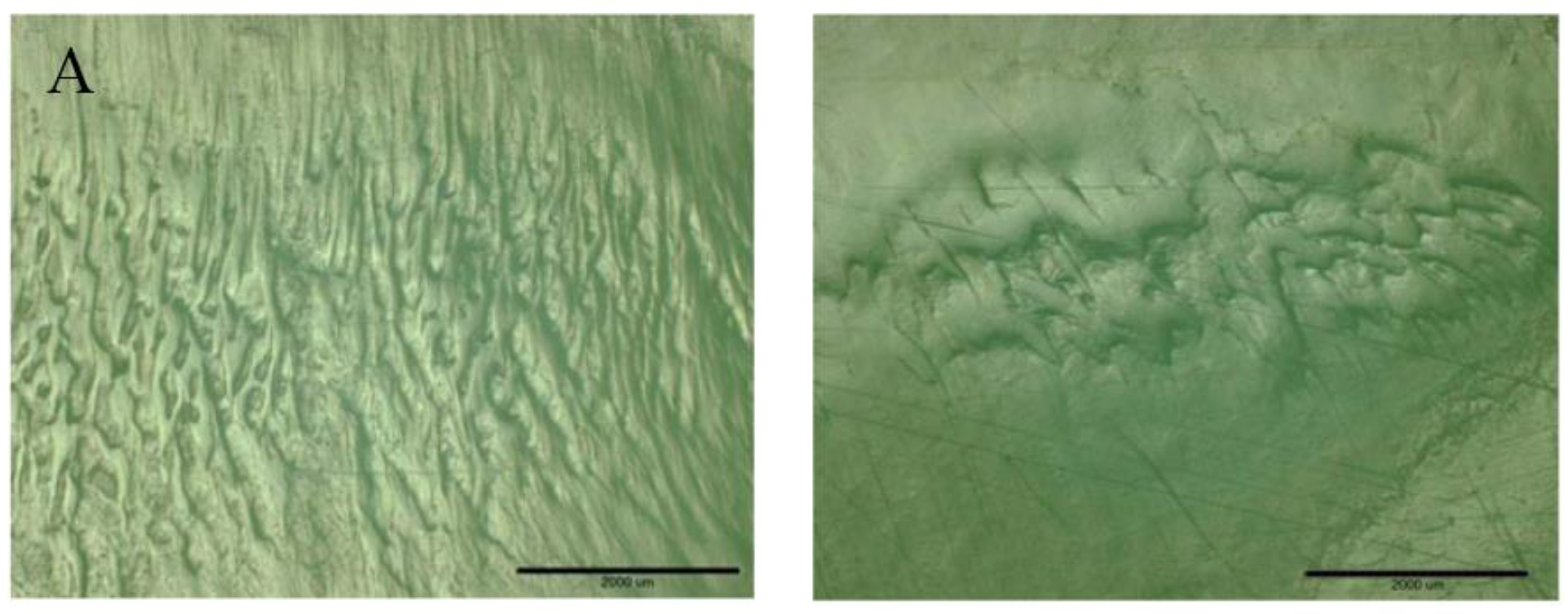 Lubricants 05 00033 g007a 550