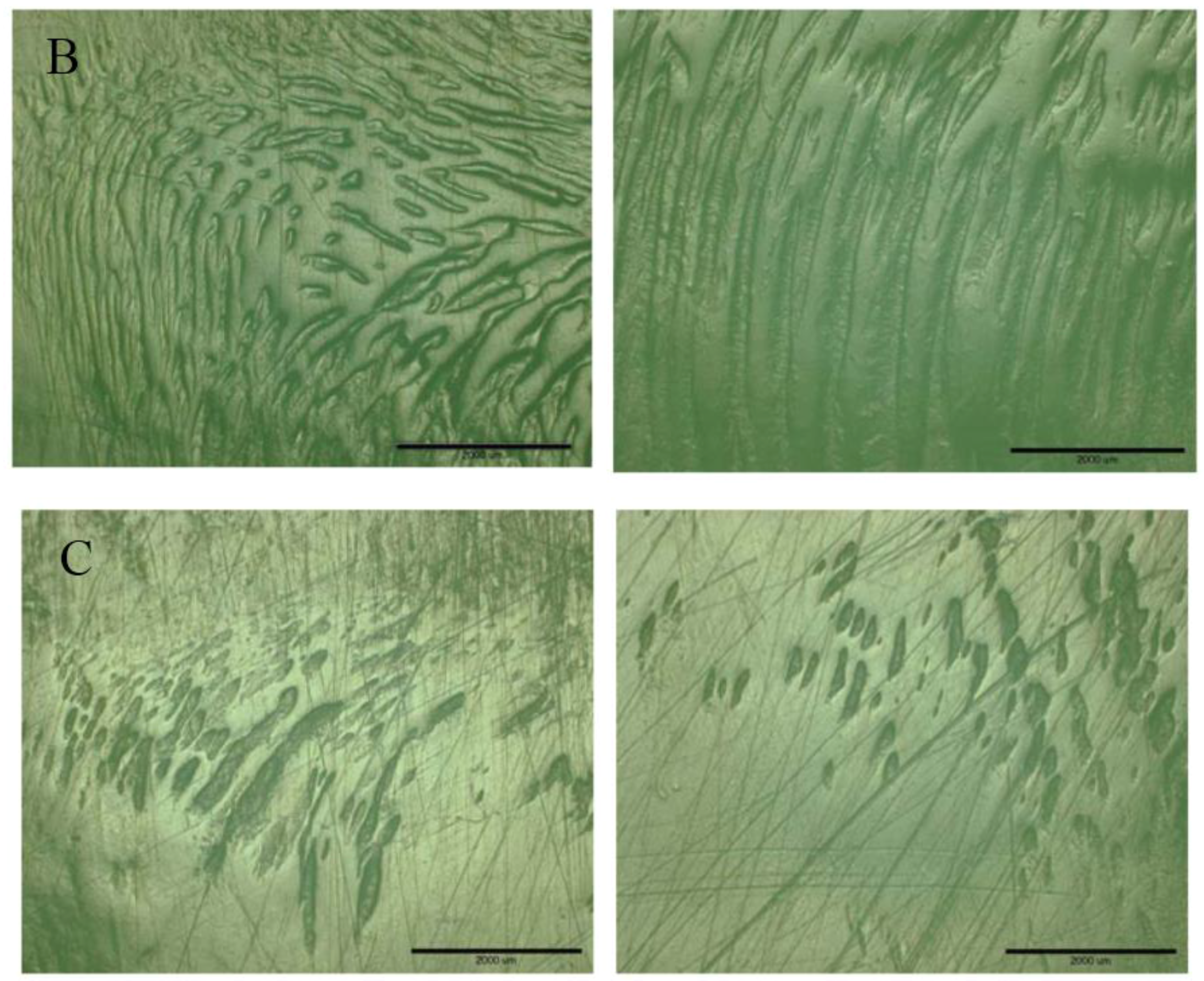 Lubricants 05 00033 g007b 550