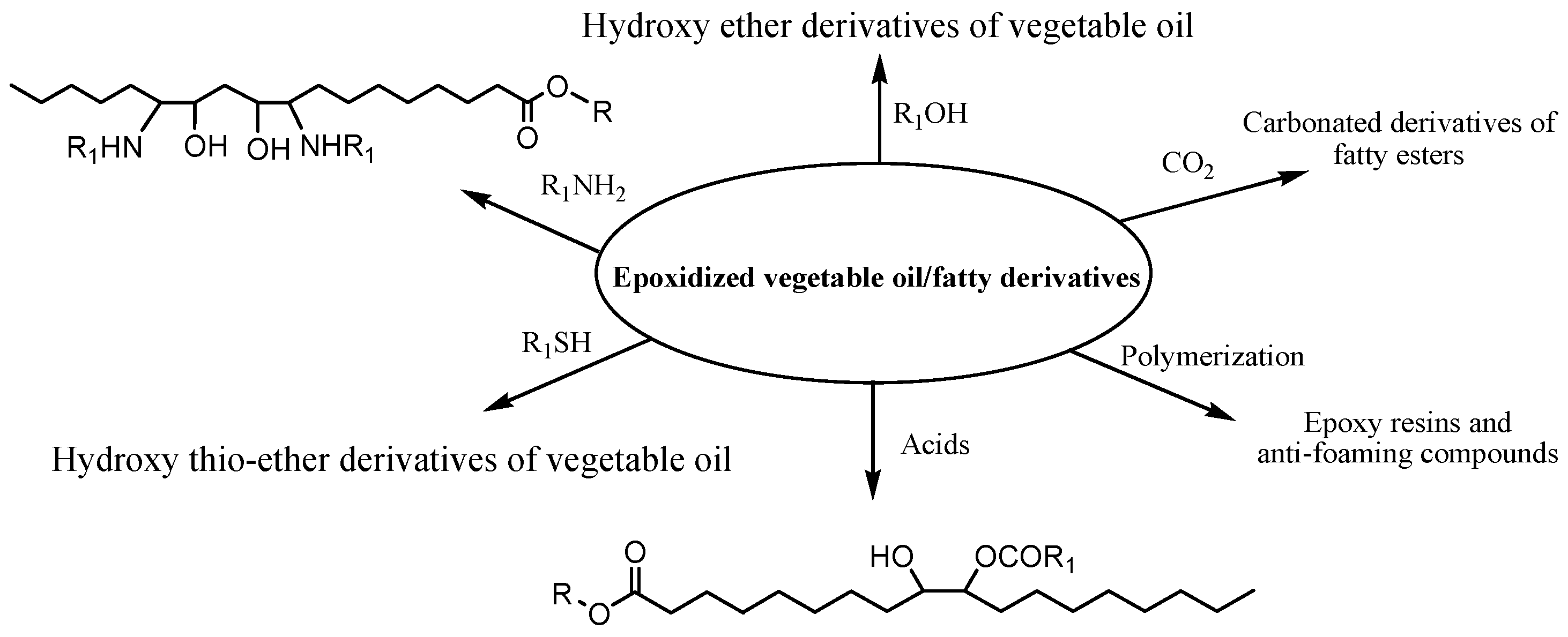 Lubricants Free FullText Chemically Modifying Vegetable Oils to