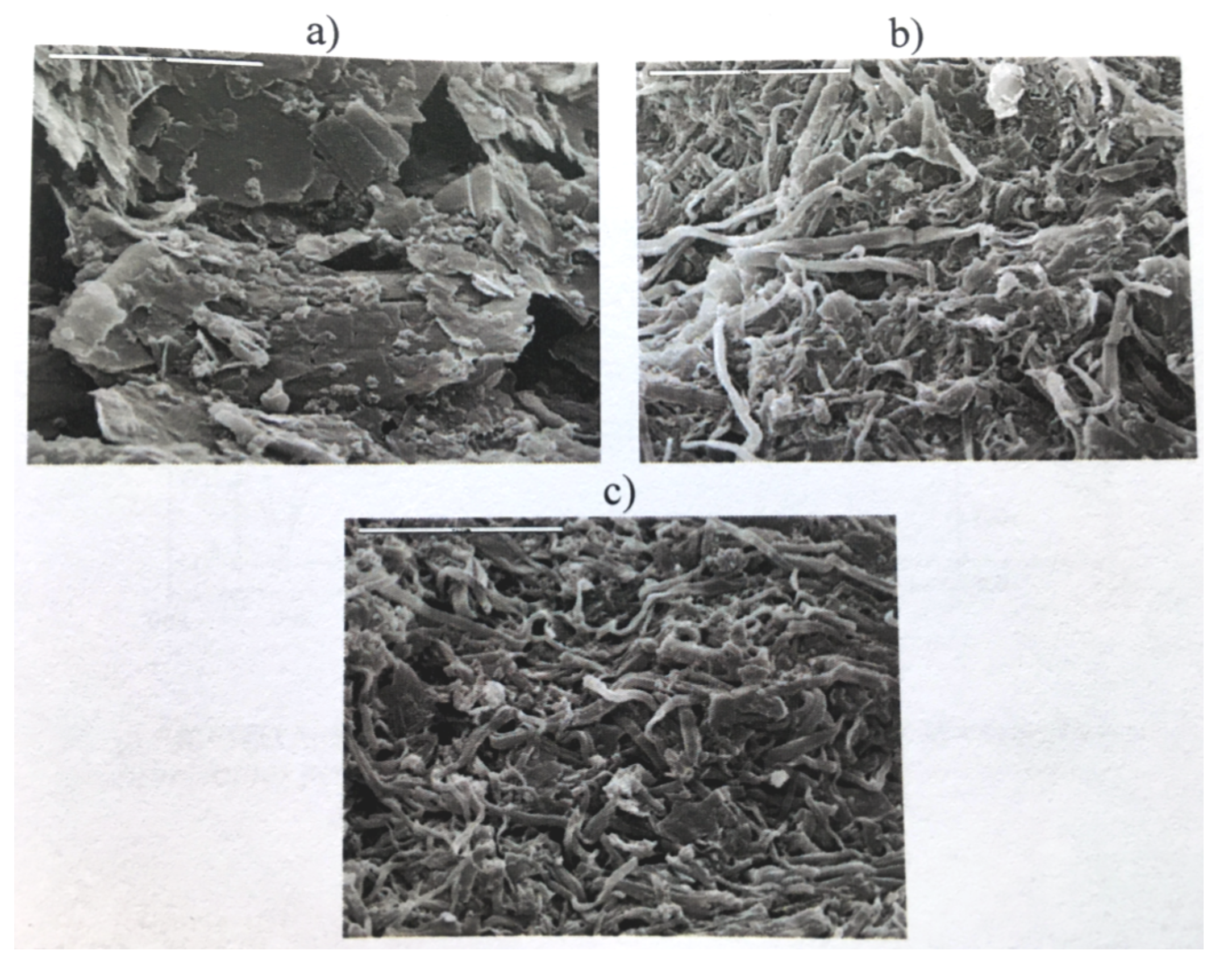Lubricants 06 00007 g002 550