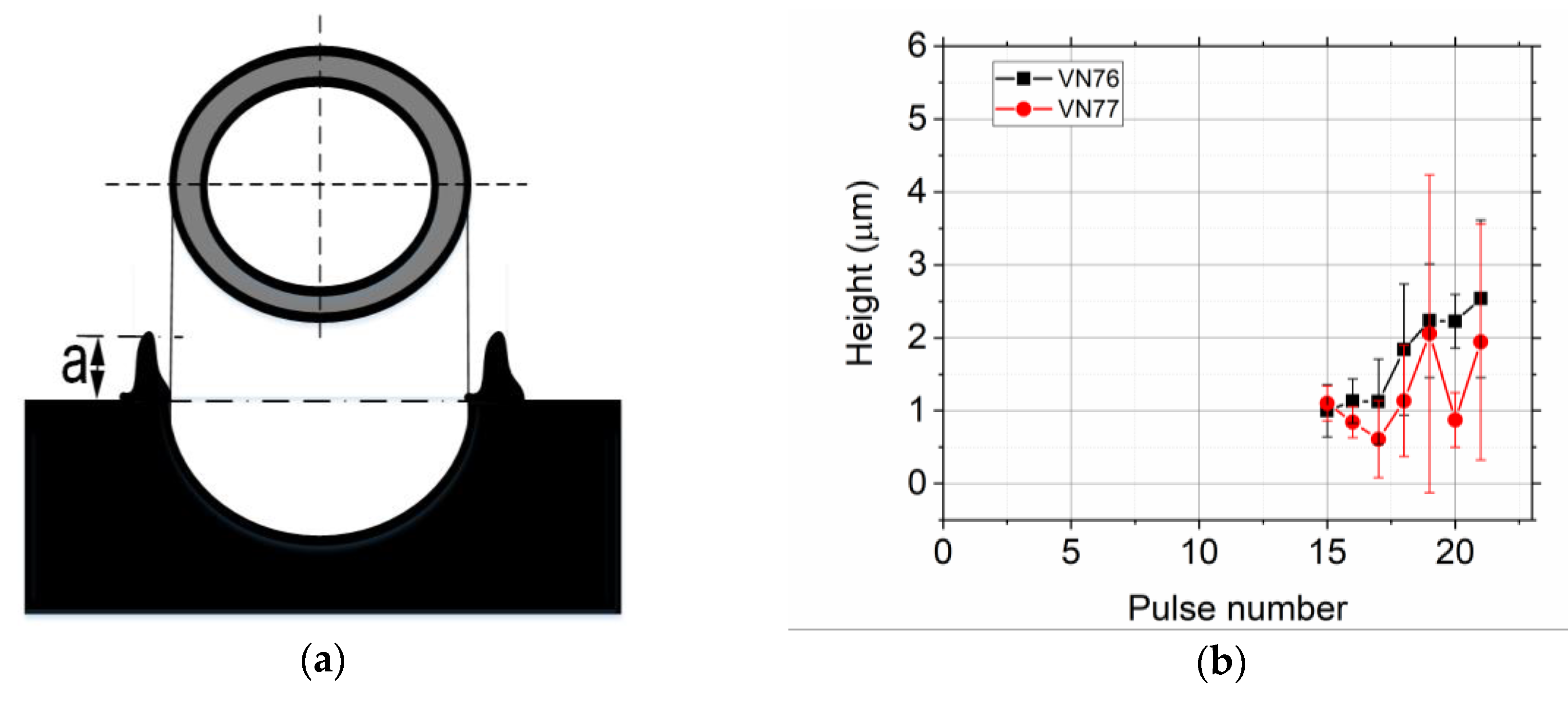 Lubricants 06 00011 g005
