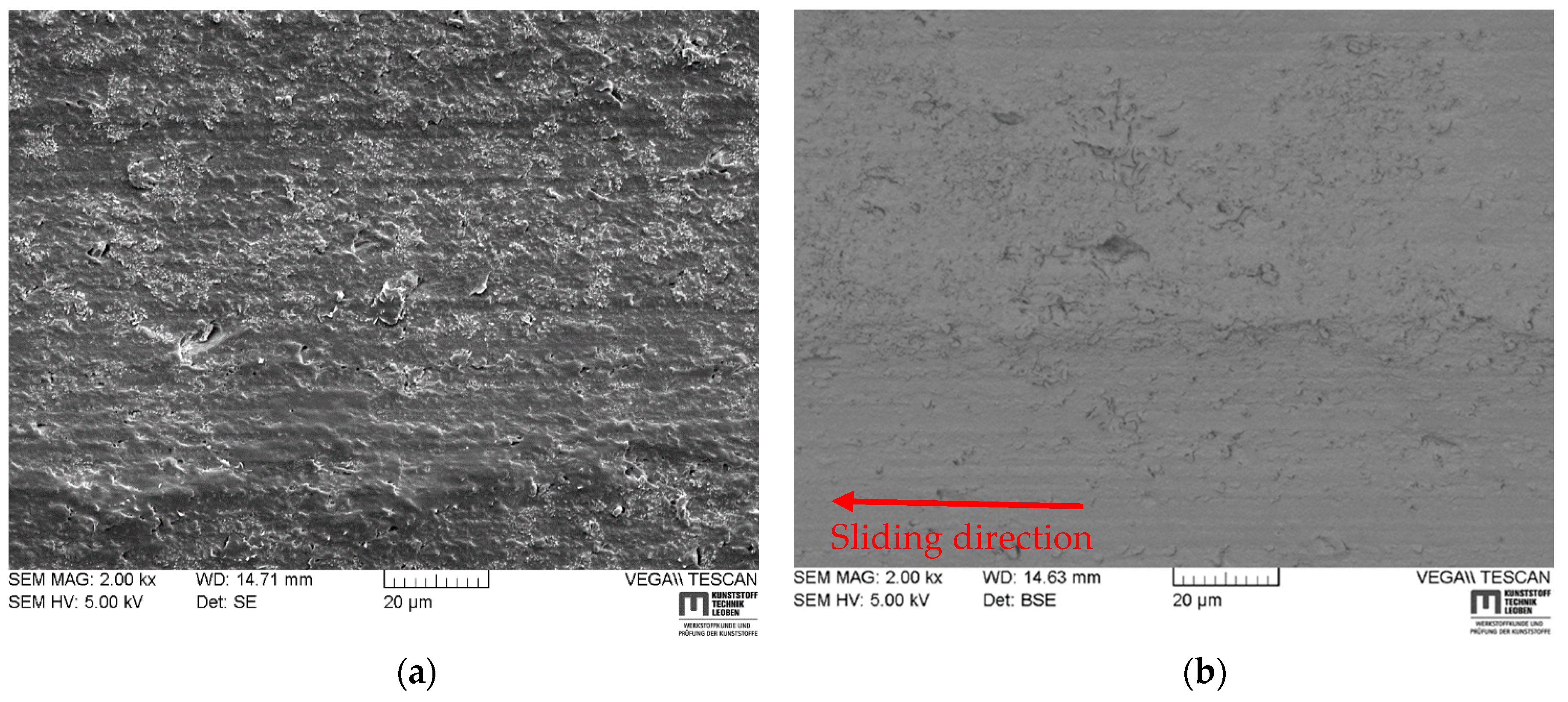 Lubricants Free FullText Tribological Behavior of HNBR in Oil and Gas Field Applications