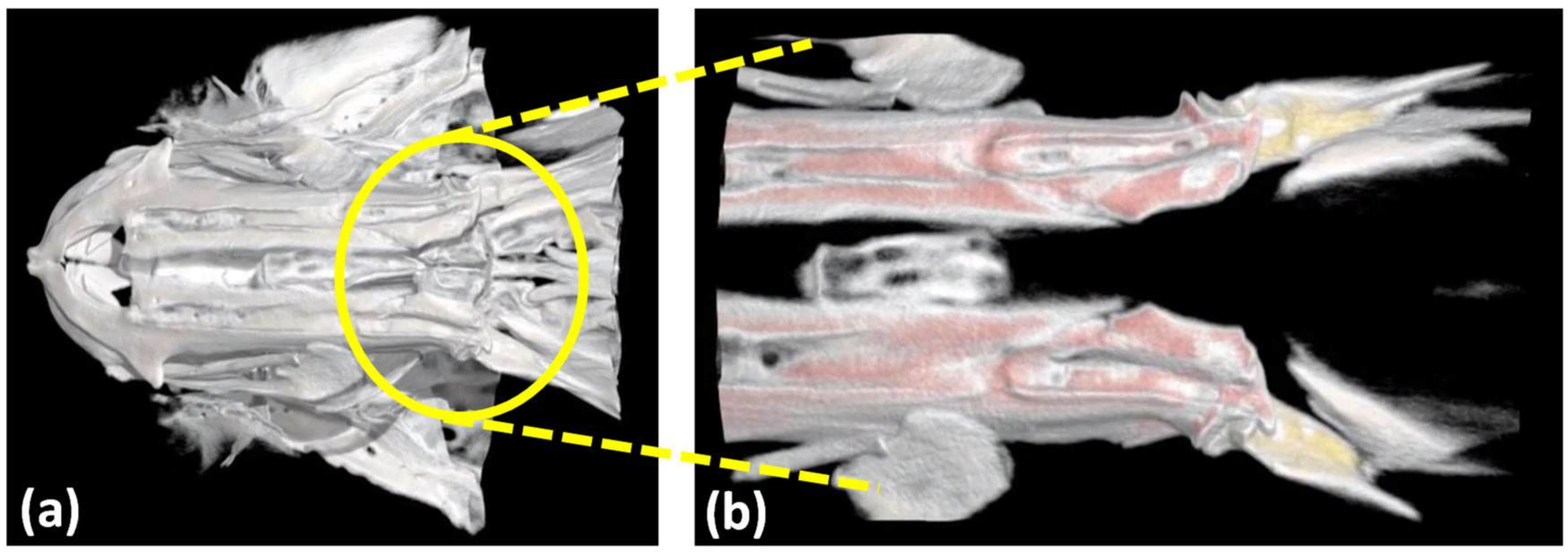 Lubricants 06 00030 g001