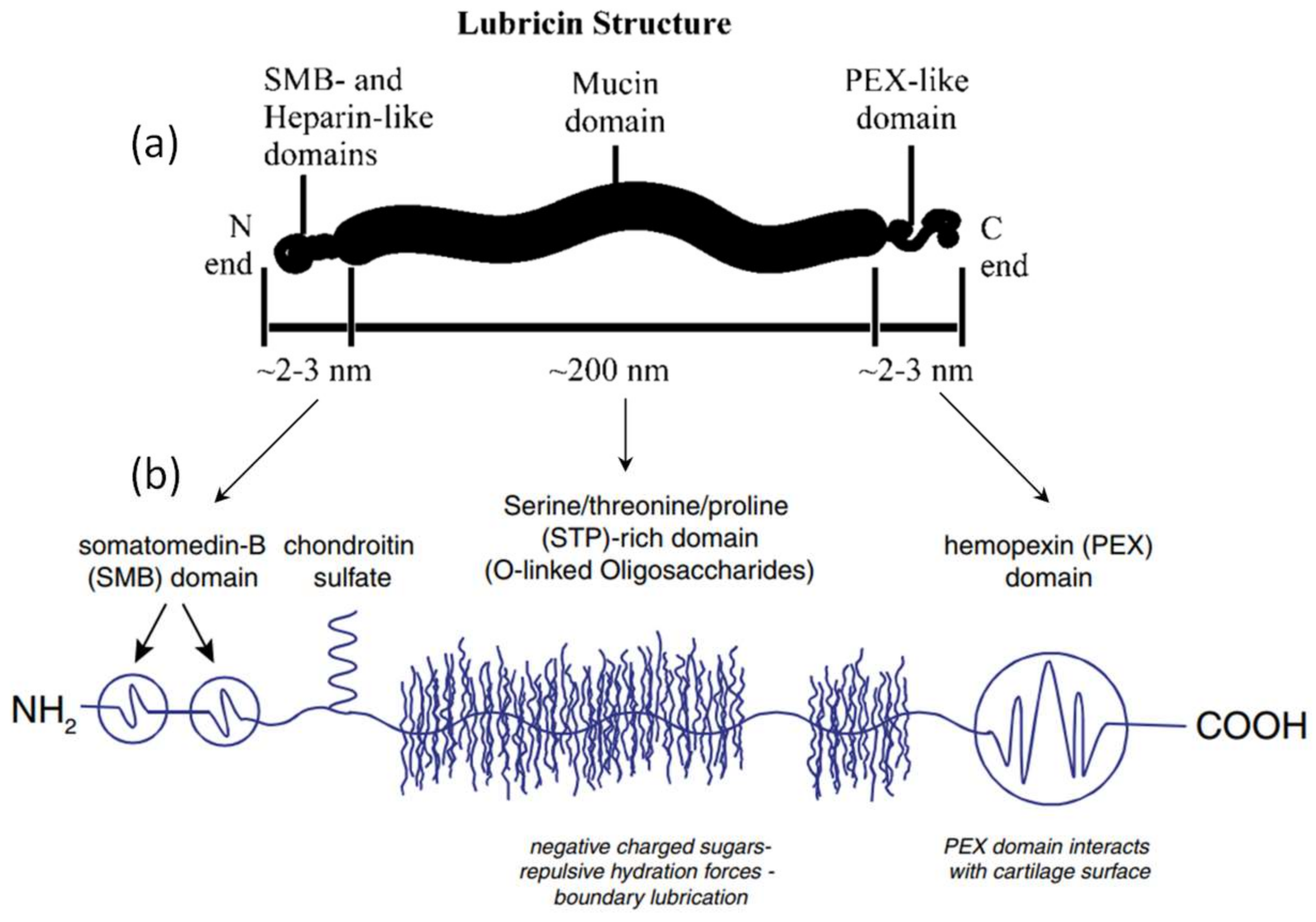 Lubricants 06 00030 g002