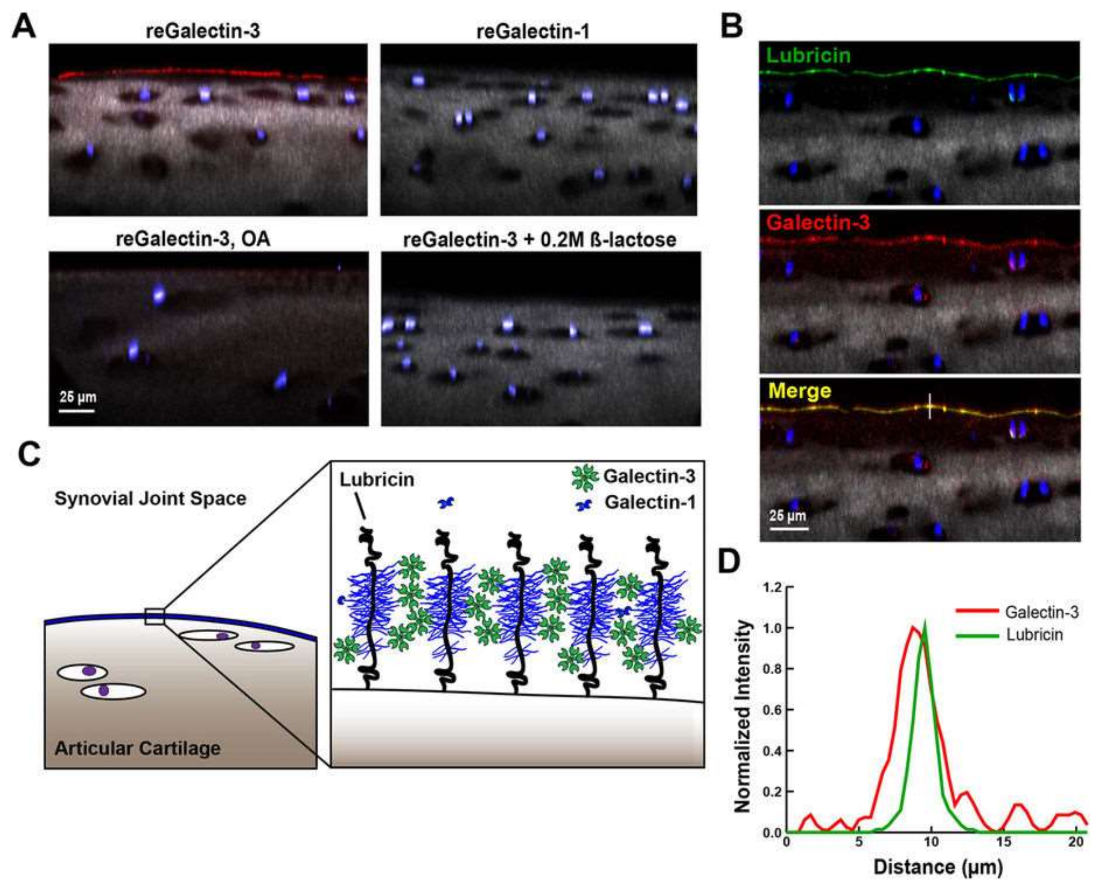 Lubricants 06 00030 g010