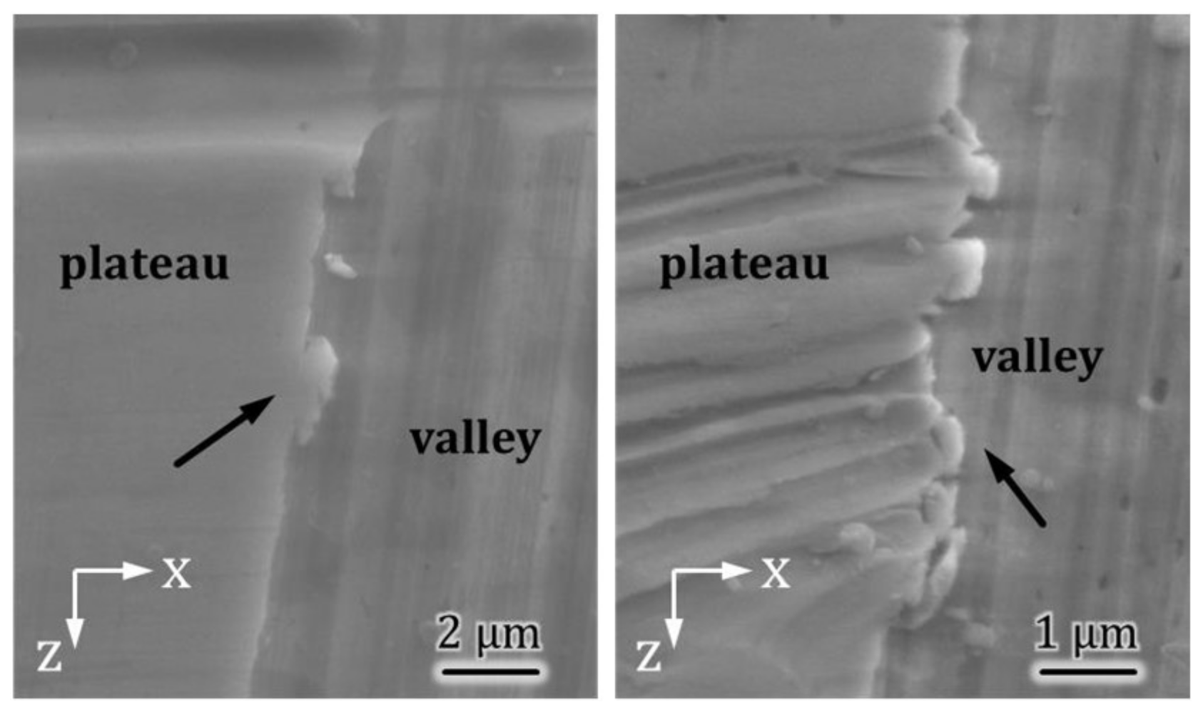 Lubricants 06 00034 g005 550