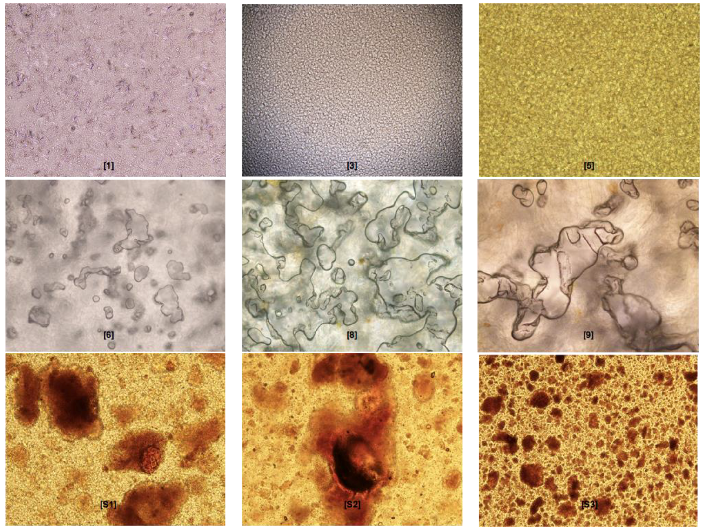 Lubricants 06 00045 g007