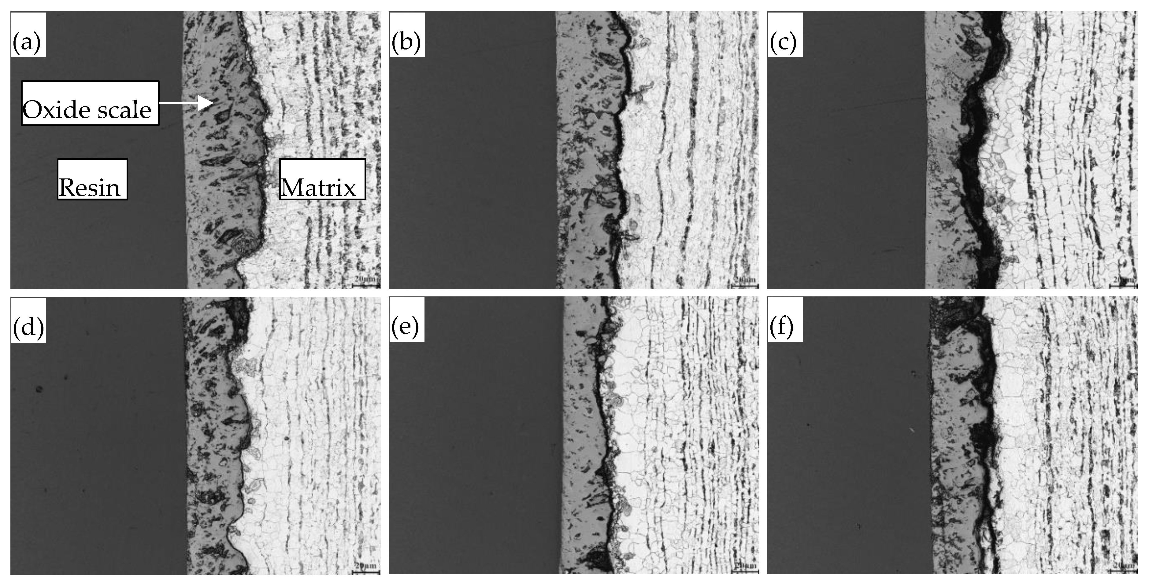 Lubricants 06 00057 g005 Lubricants 06 00057 g005